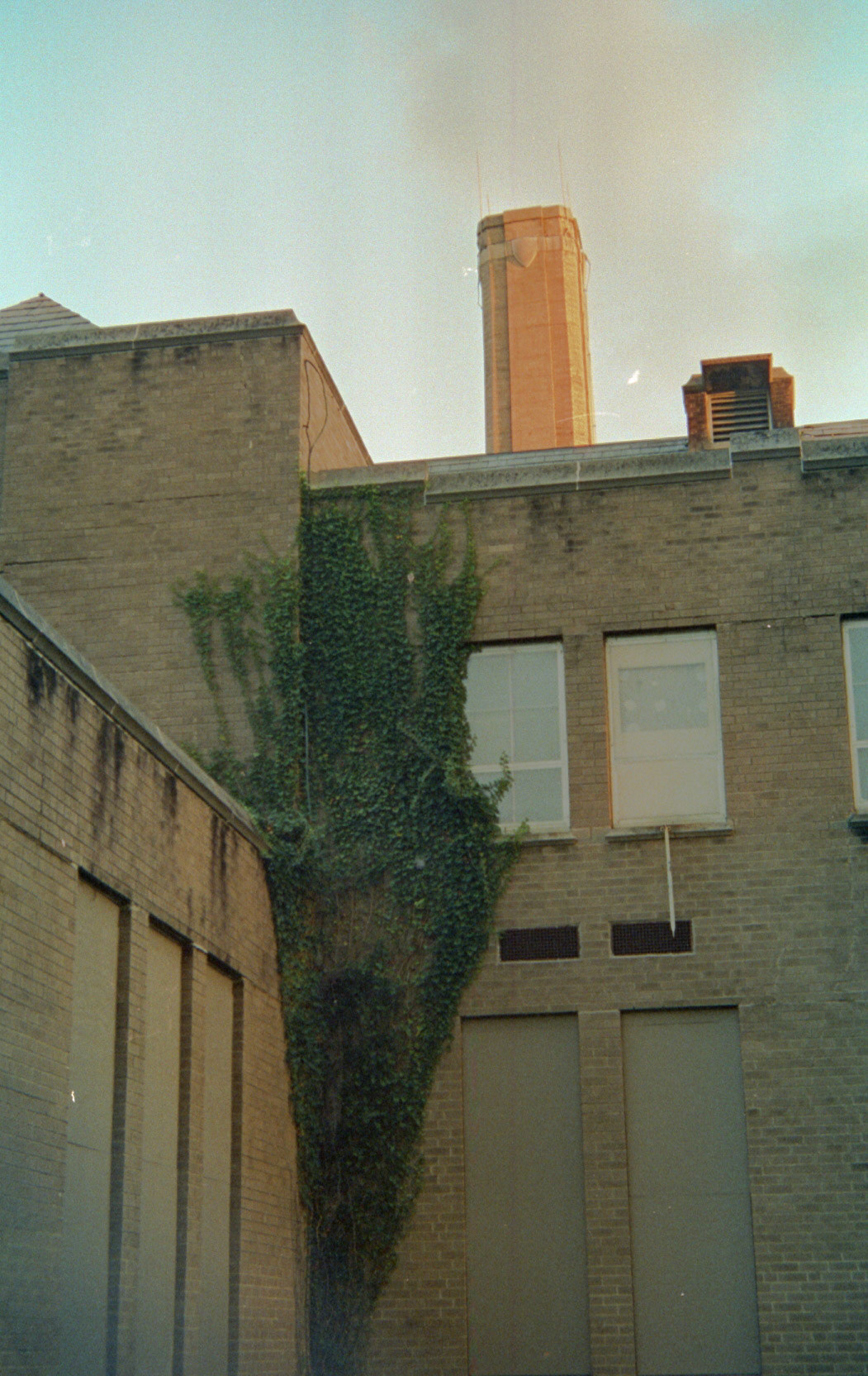 Nikon FG on Cinestill 50D