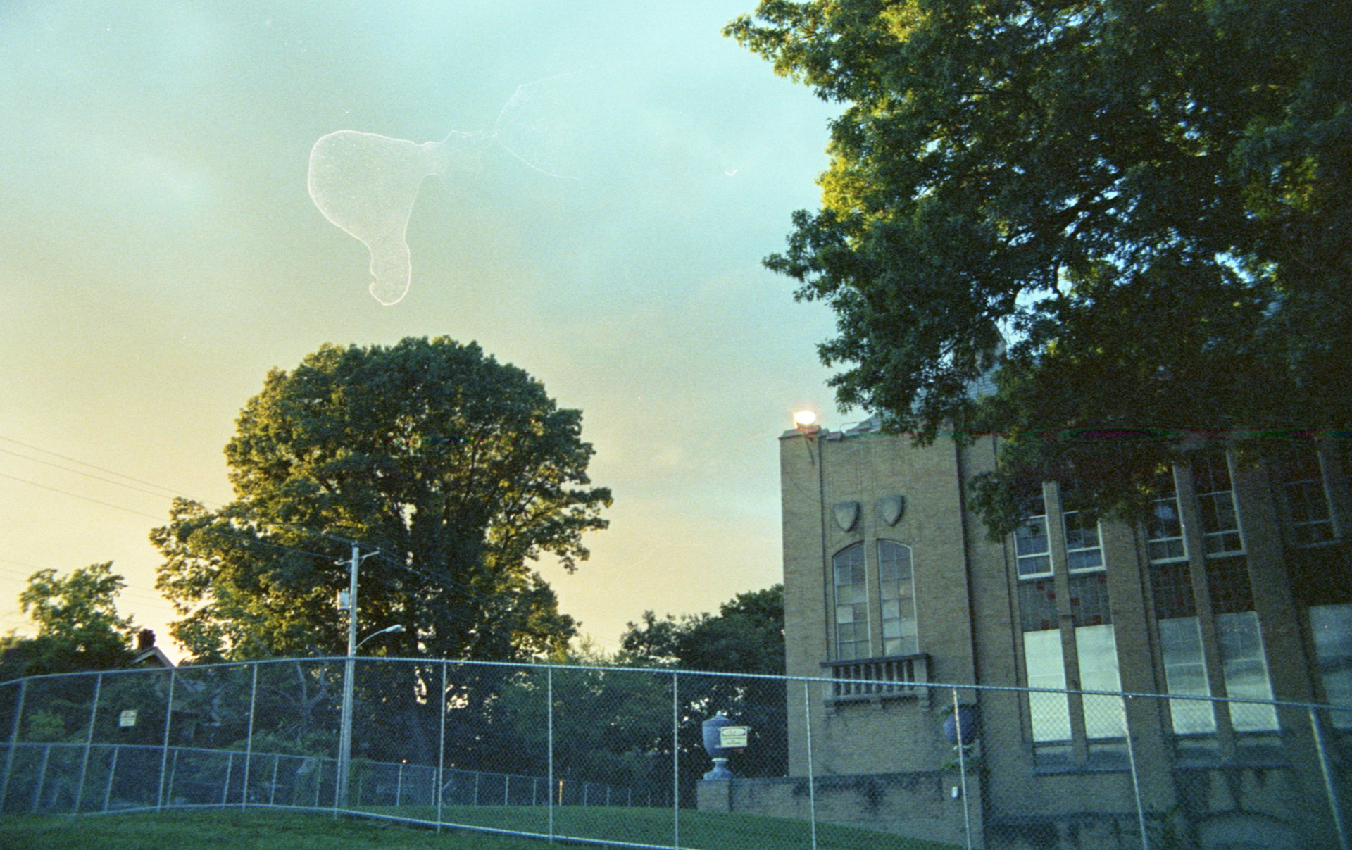 Nikon FG on Cinestill 50D