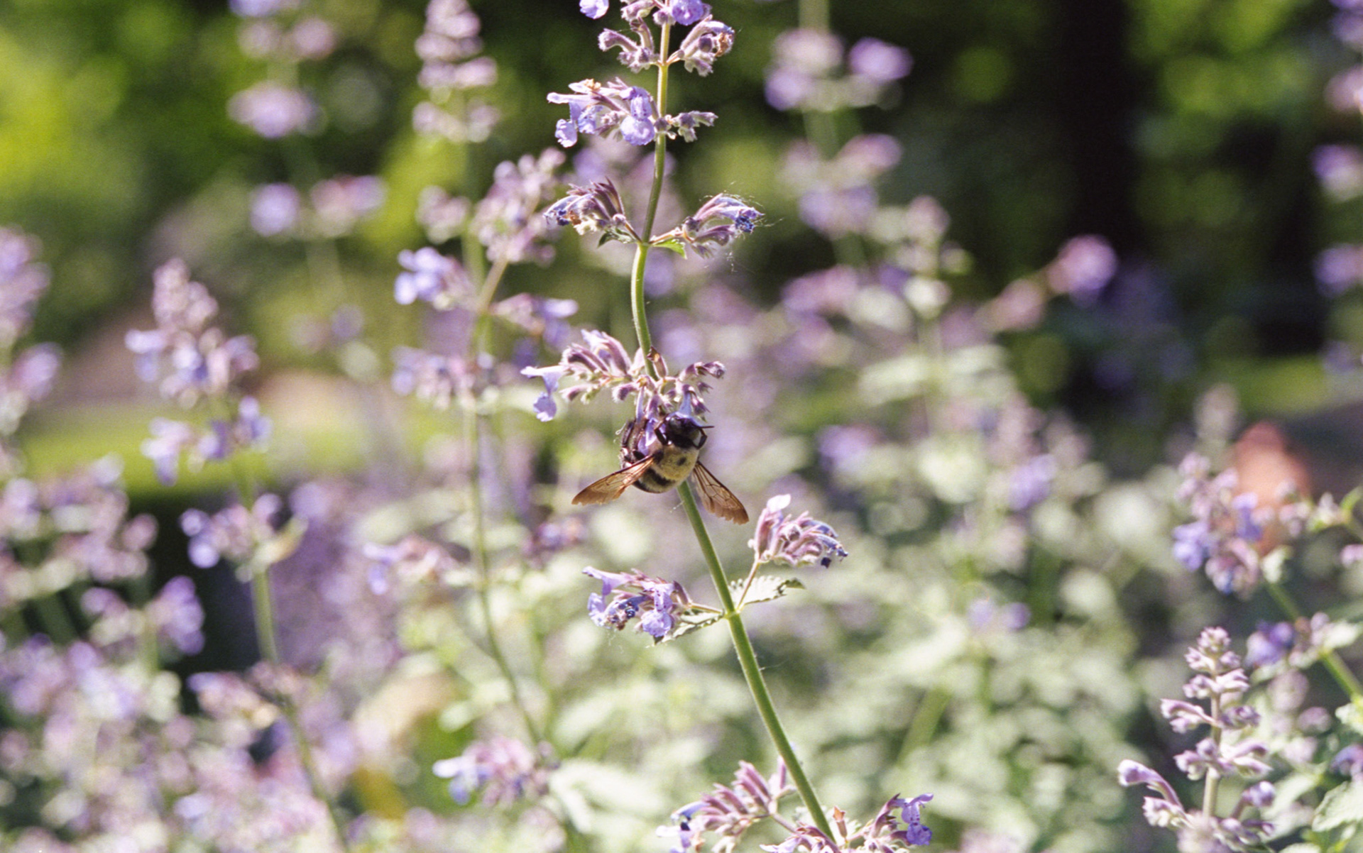 © 2022 addy4all. All rights reserved.