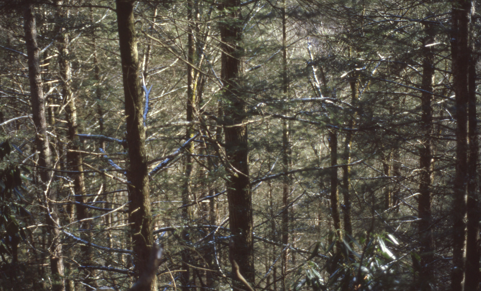 © 2022 addy4all. All rights reserved.