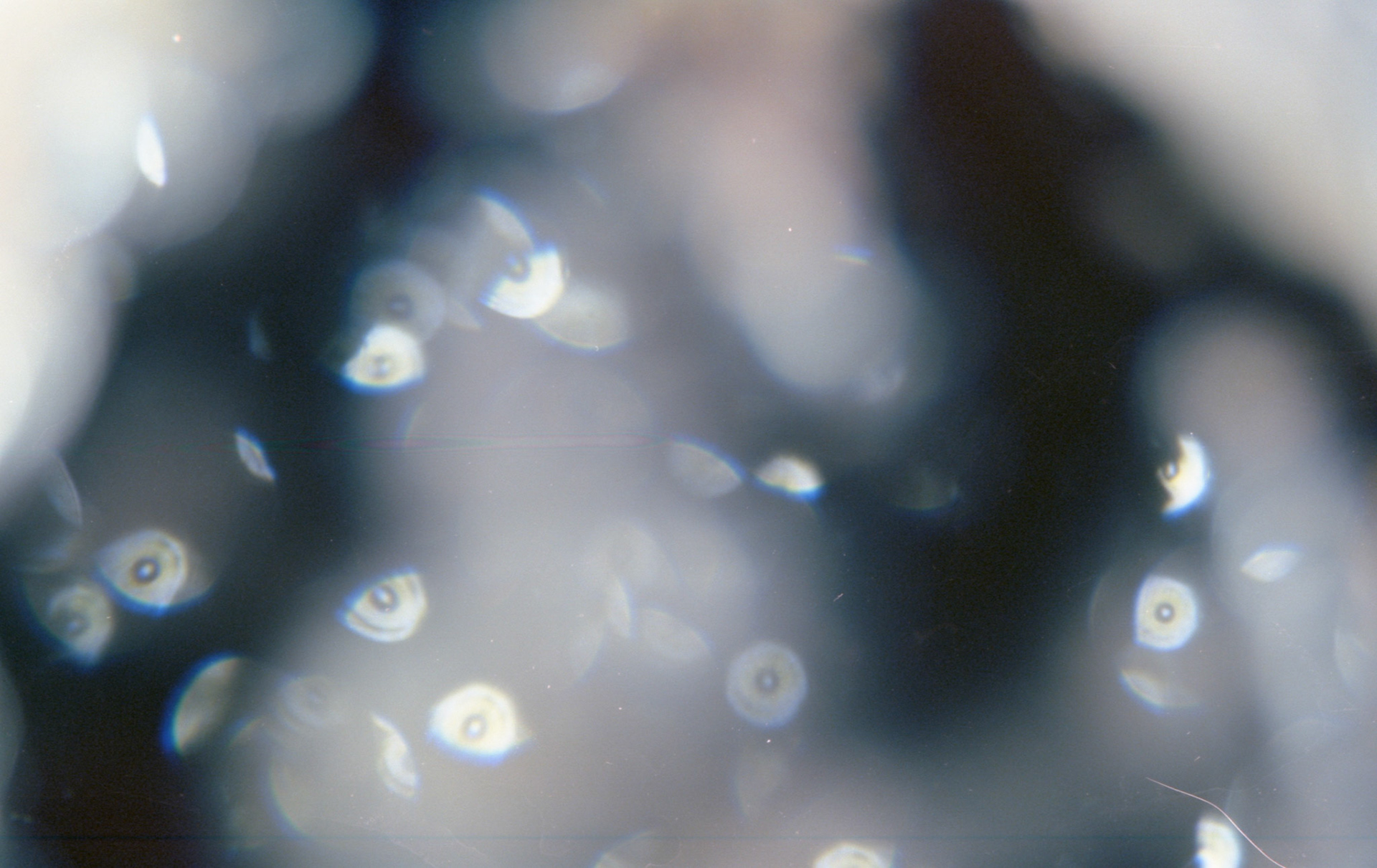 © 2022 addy4all. All rights reserved.