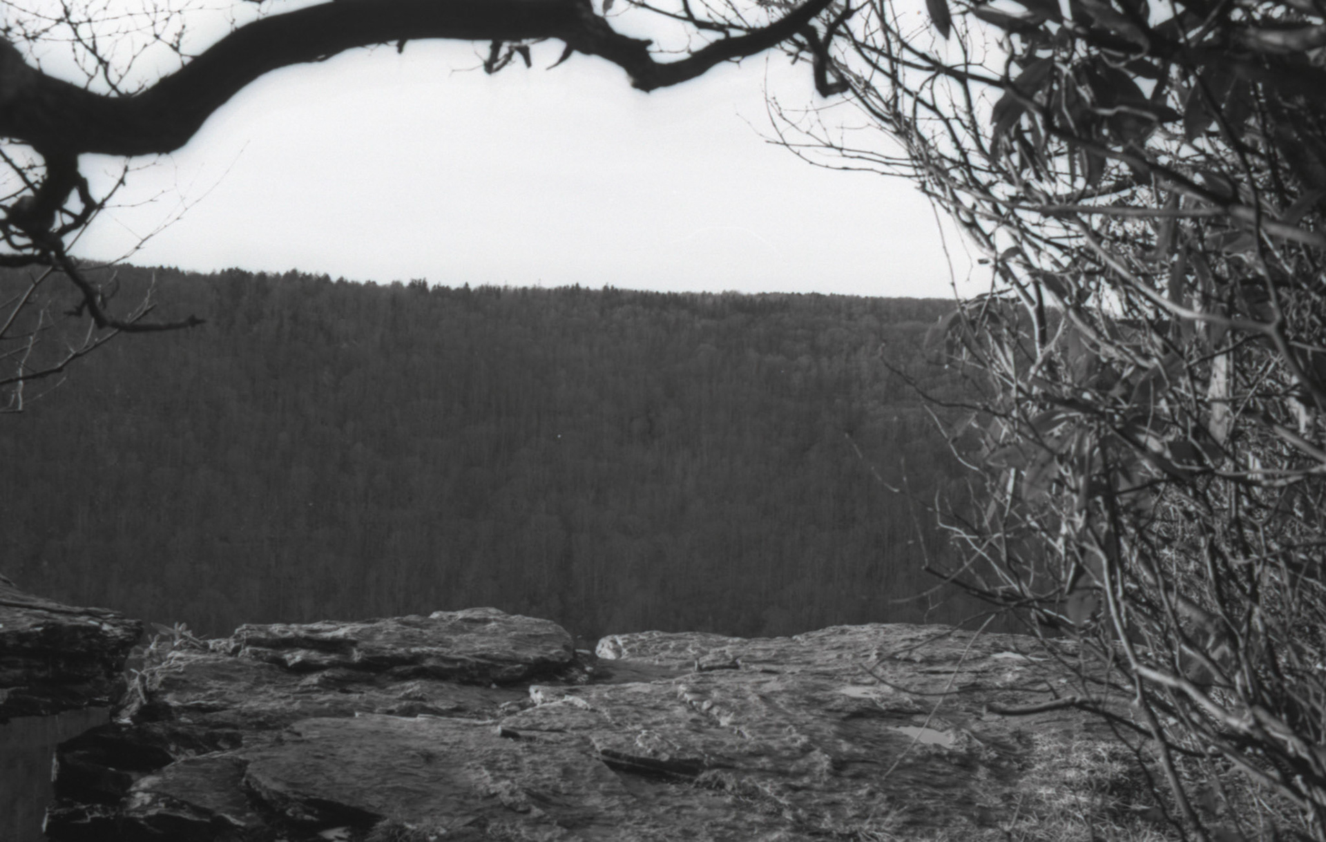 © 2022 addy4all. All rights reserved.  FPP Dracula 64 ISO, HC-110 Dilution B 8min