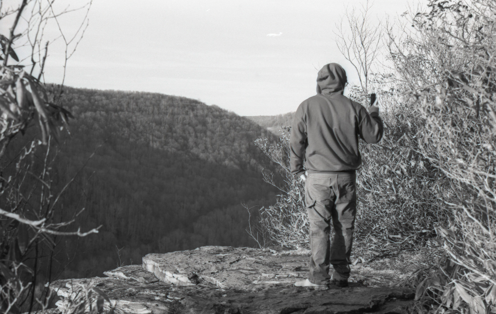 © 2022 addy4all. All rights reserved.  FPP Dracula 64 ISO, HC-110 Dilution B 8min