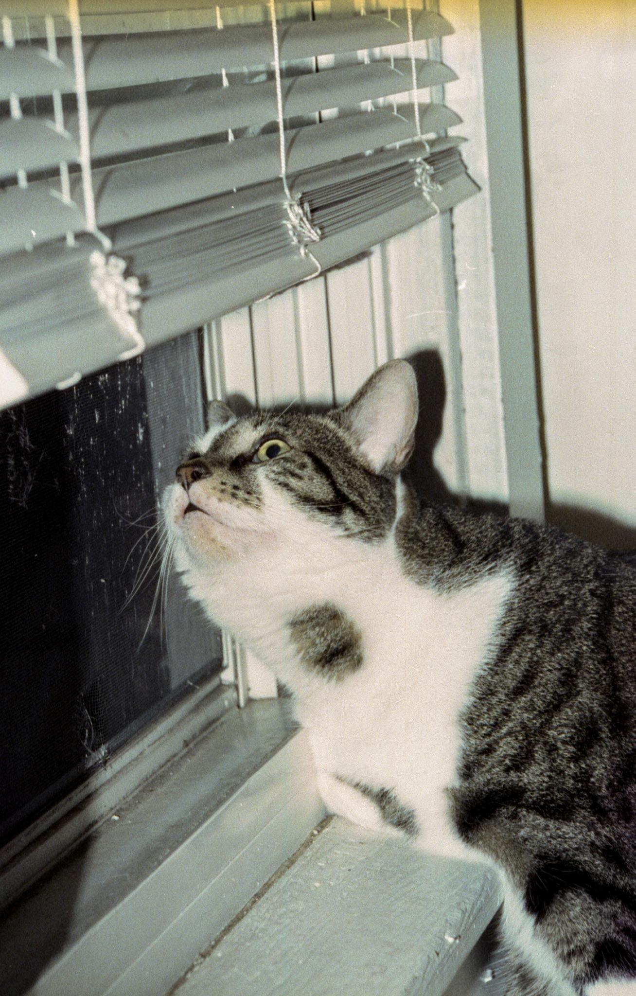 © 2022 addy4all. All rights reserved.