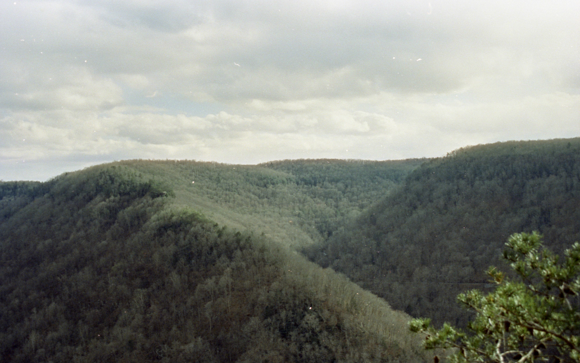 © 2023 addy4all. All rights reserved.