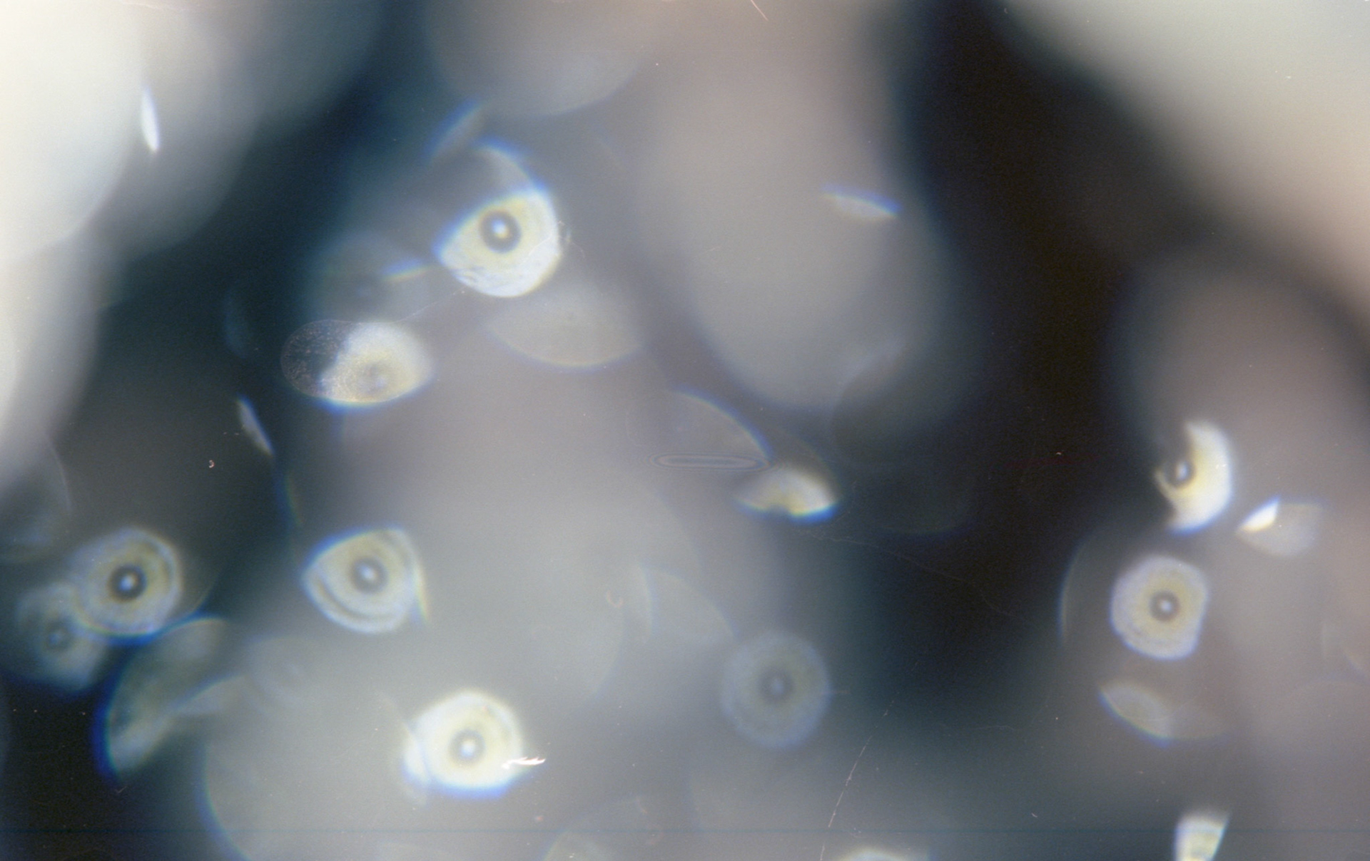 © 2022 addy4all. All rights reserved.