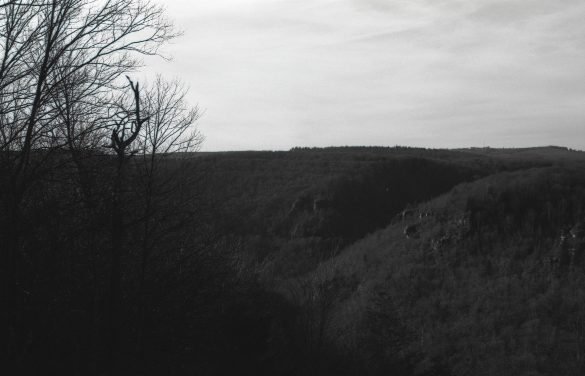 © 2022 addy4all. All rights reserved.  FPP Dracula 64 ISO, HC-110 Dilution B 8min