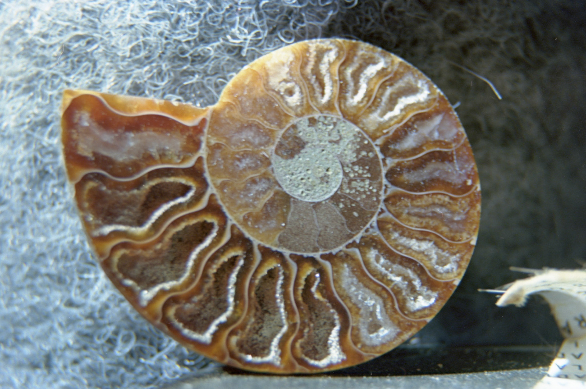 © 2022 addy4all. All rights reserved.