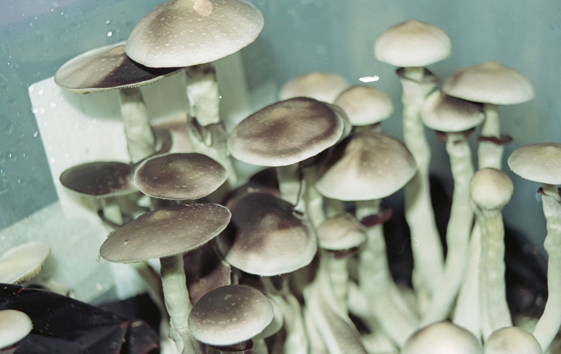 © 2022 addy4all. All rights reserved.