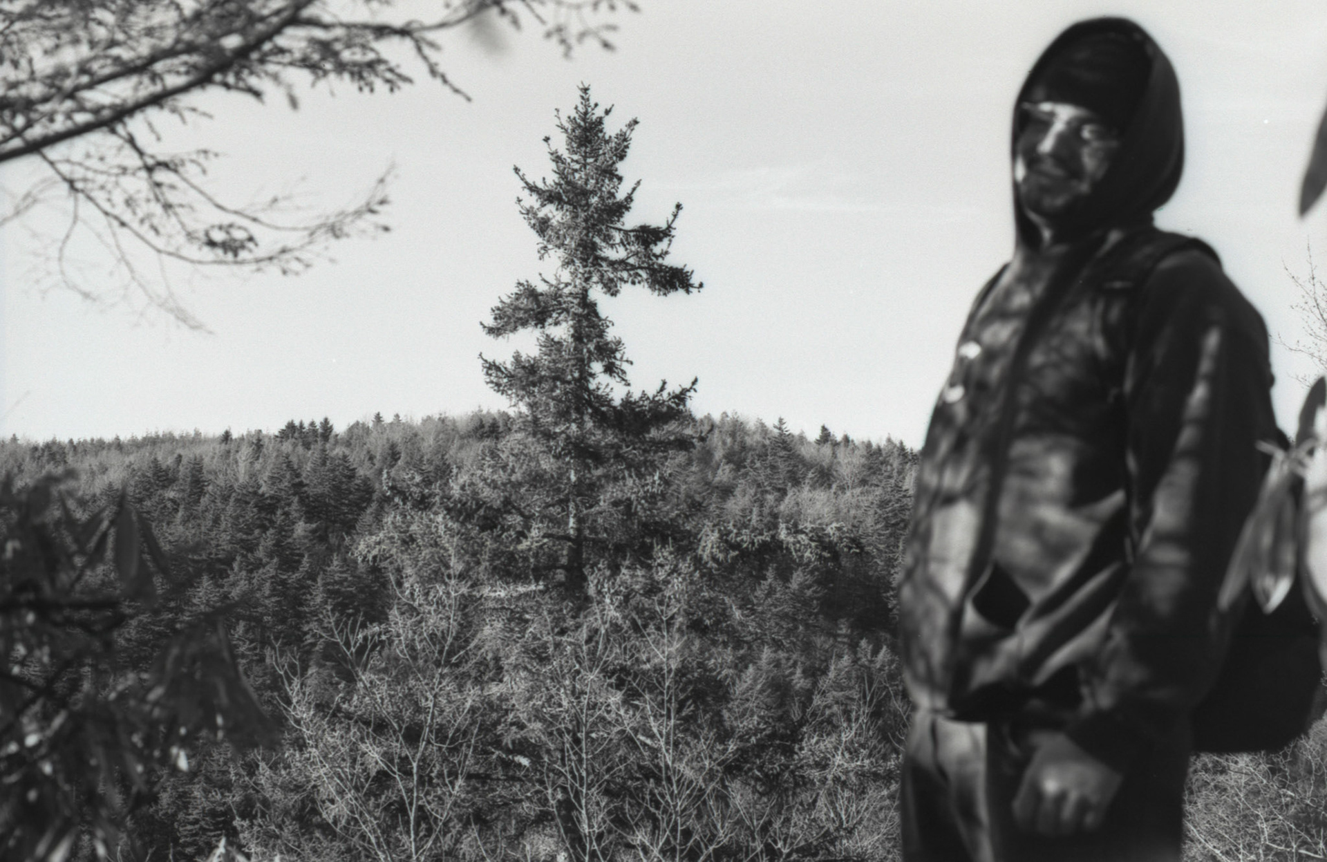 © 2022 addy4all. All rights reserved.  FPP Dracula 64 ISO, HC-110 Dilution B 8min