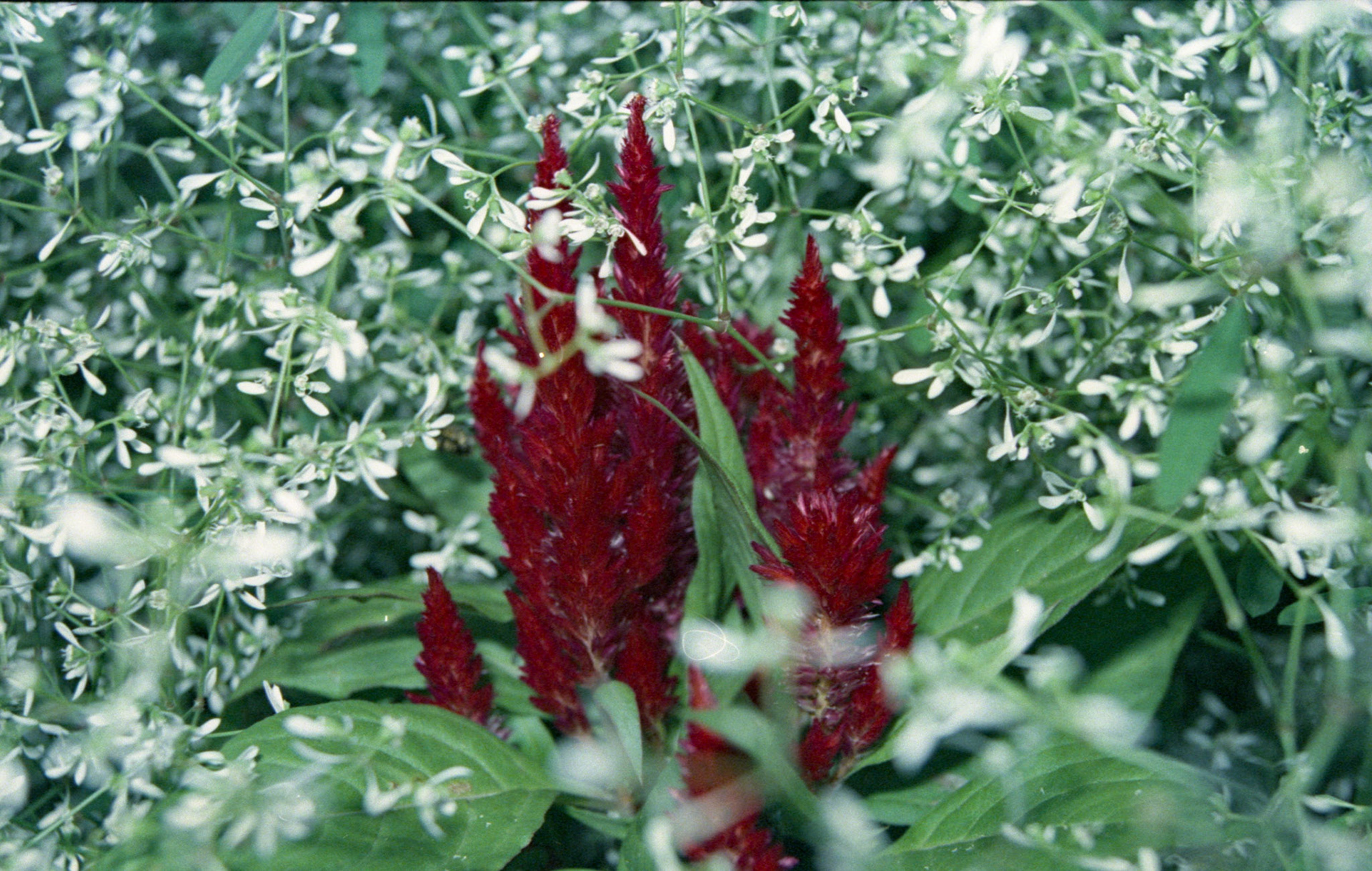 © 2022 addy4all. All rights reserved.