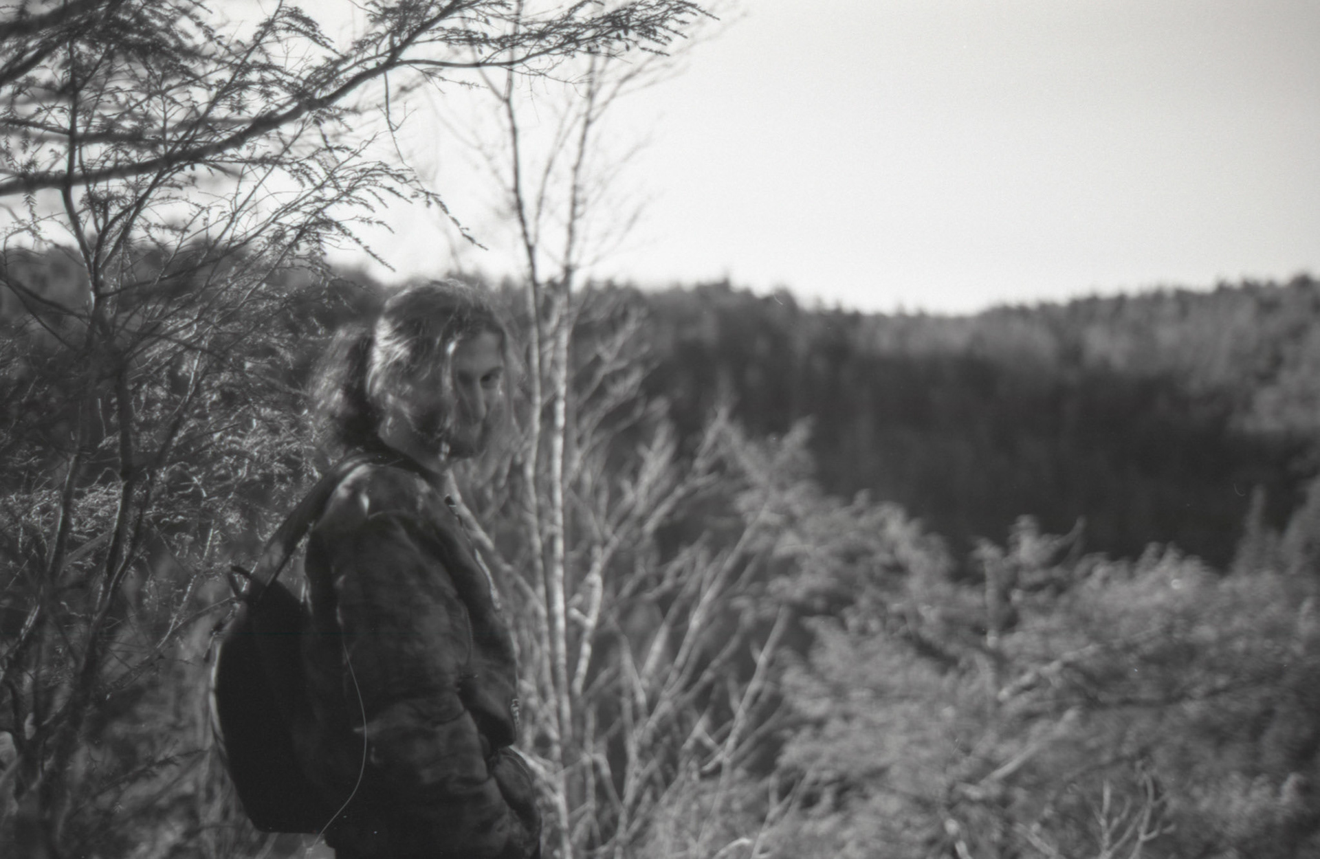 © 2022 addy4all. All rights reserved.  FPP Dracula 64 ISO, HC-110 Dilution B 8min