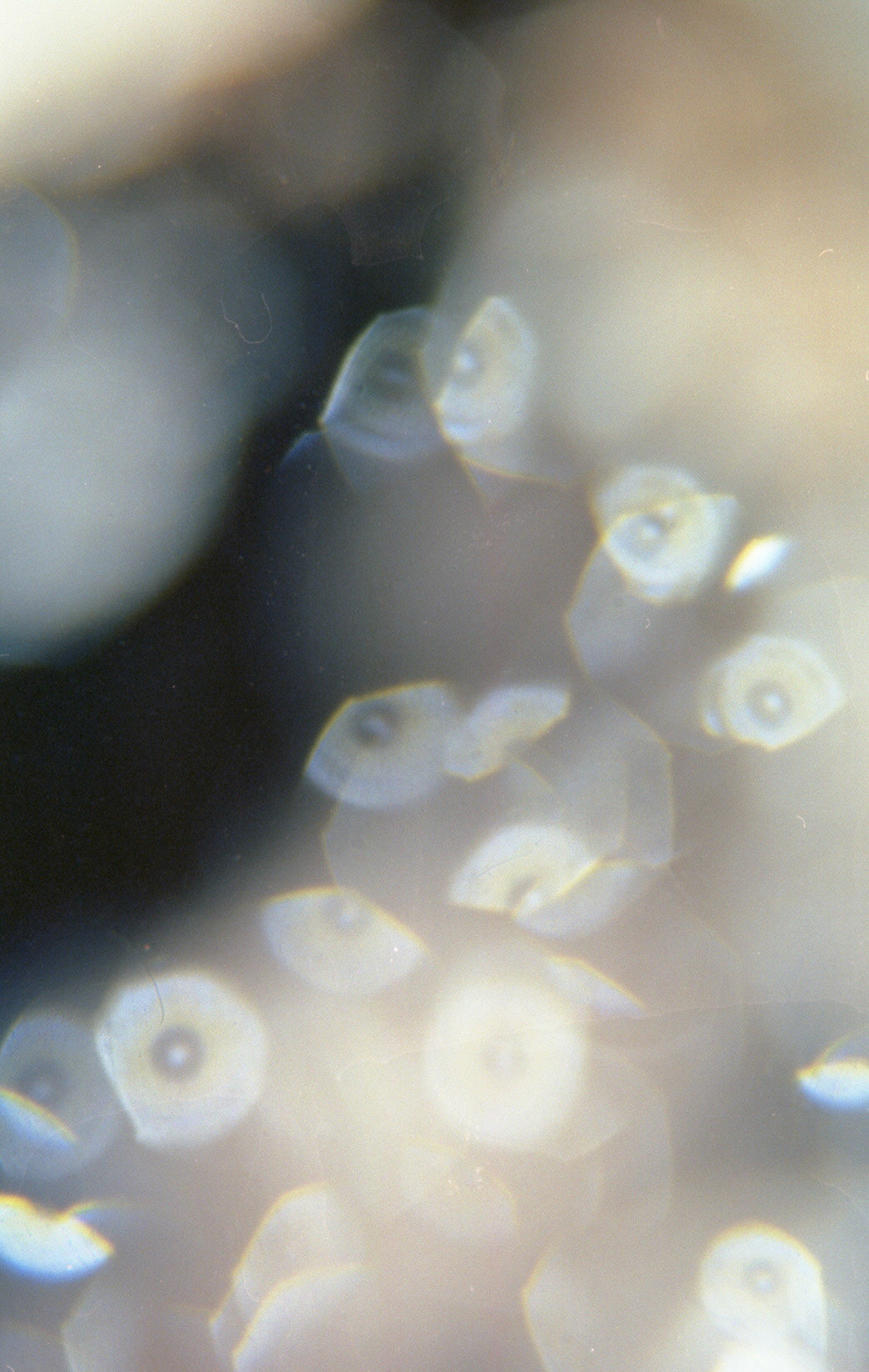 © 2022 addy4all. All rights reserved.