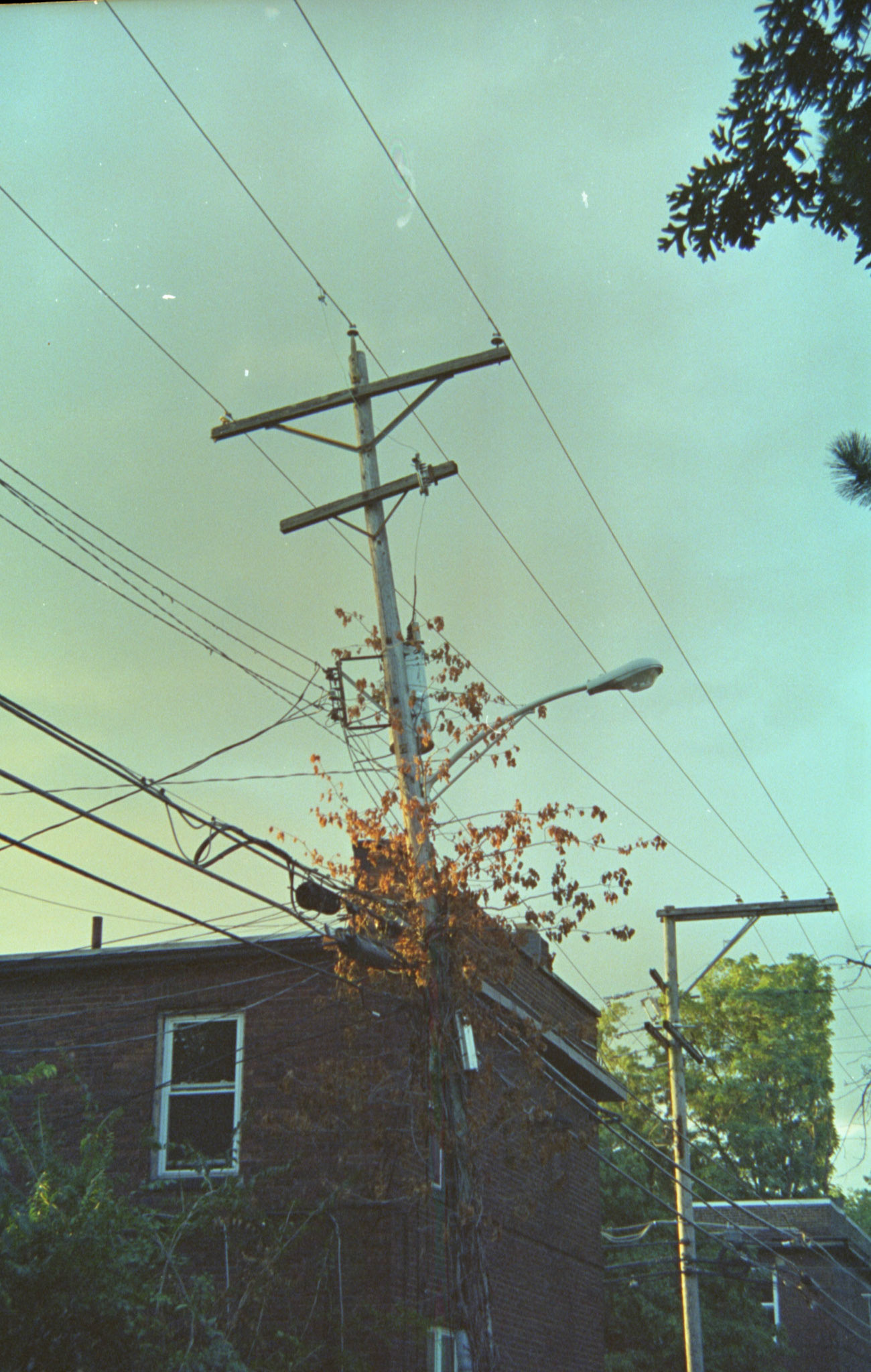 Nikon FG on Cinestill 50D