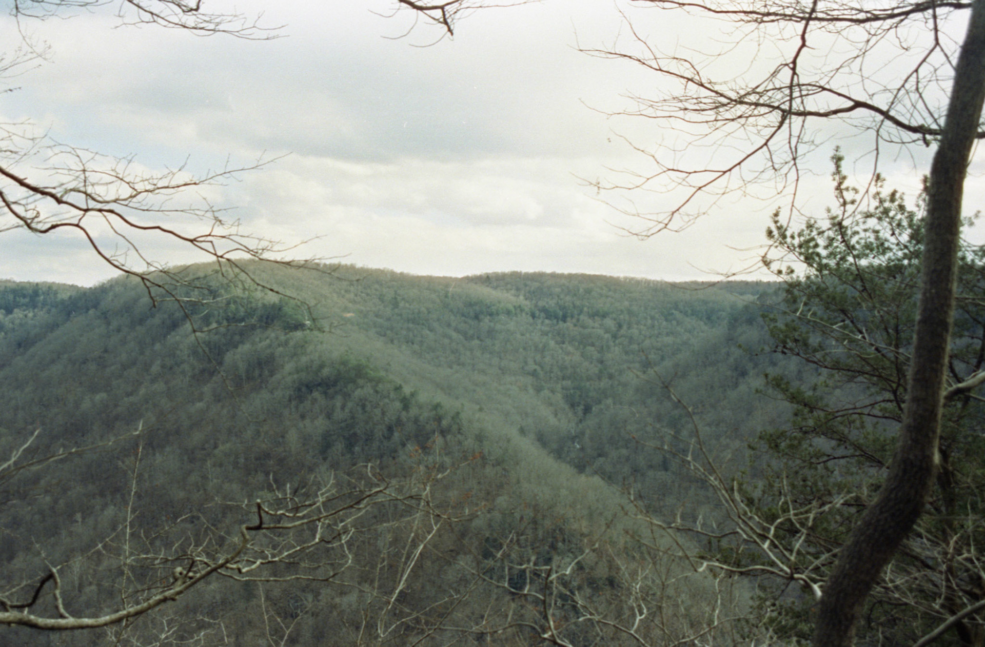 © 2023 addy4all. All rights reserved.