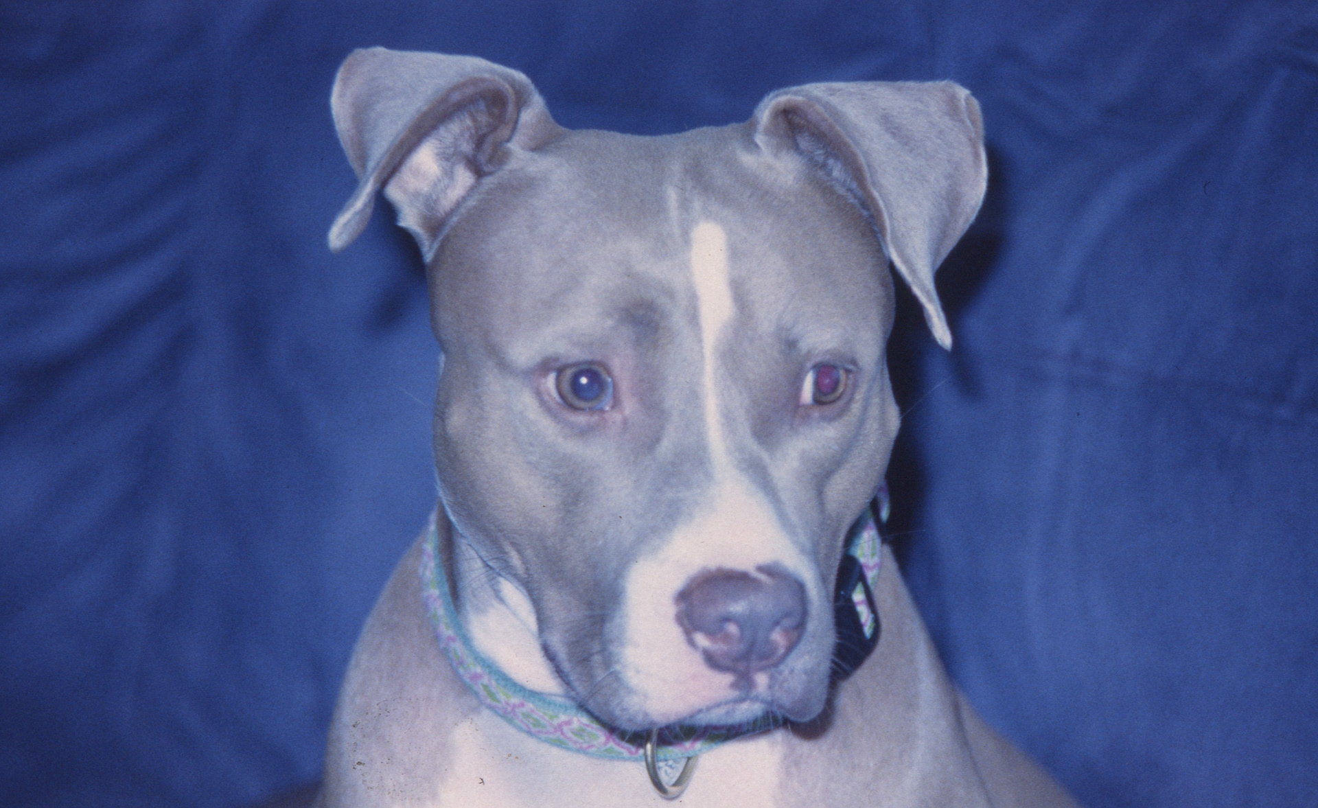 © 2022 addy4all. All rights reserved.