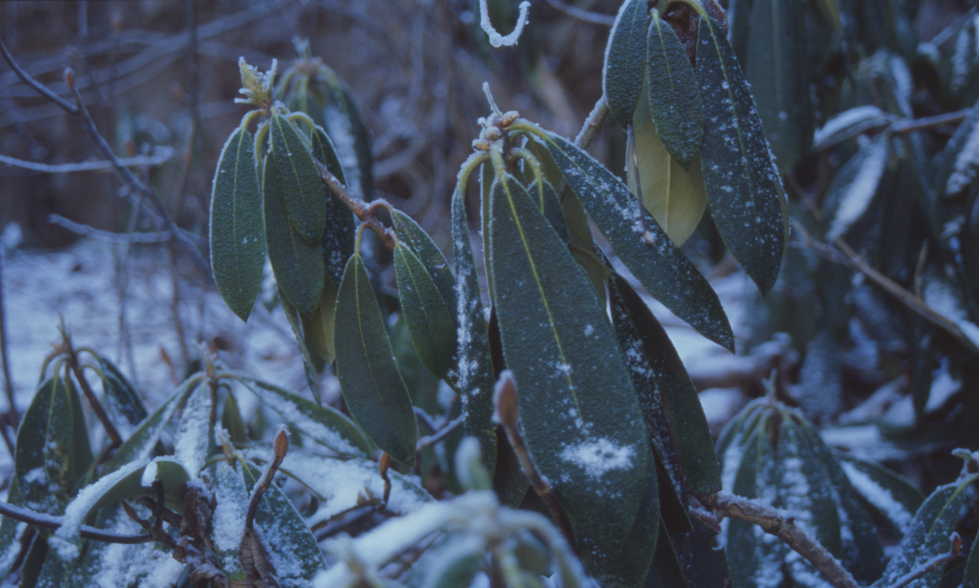 © 2022 addy4all. All rights reserved.