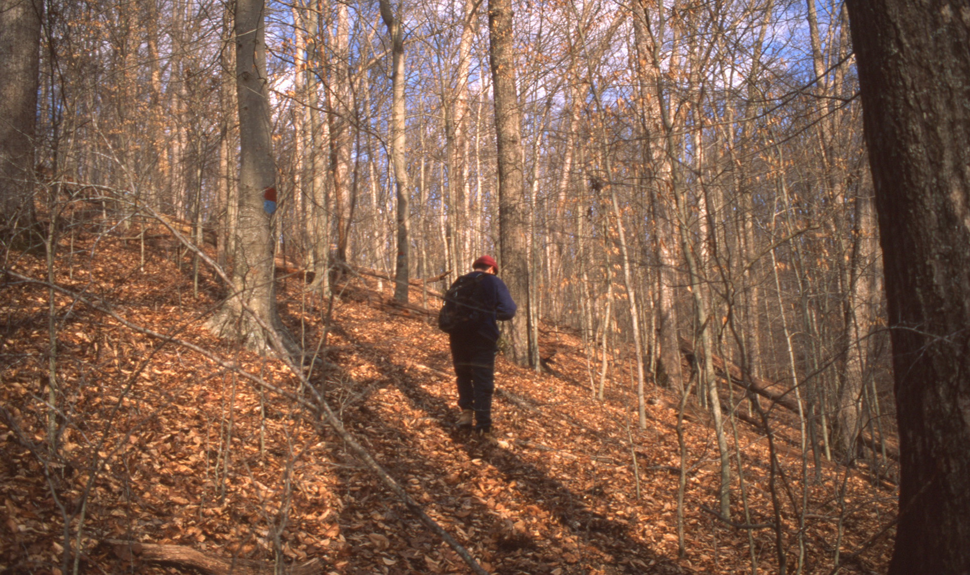 © 2022 addy4all. All rights reserved.