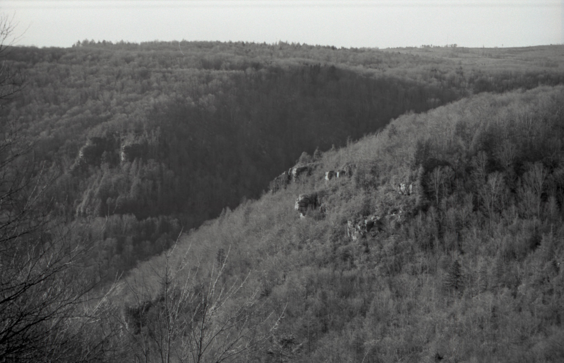 © 2022 addy4all. All rights reserved.  FPP Dracula 64 ISO, HC-110 Dilution B 8min