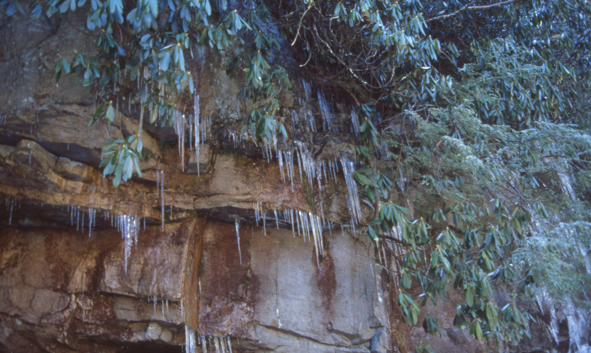 © 2022 addy4all. All rights reserved.