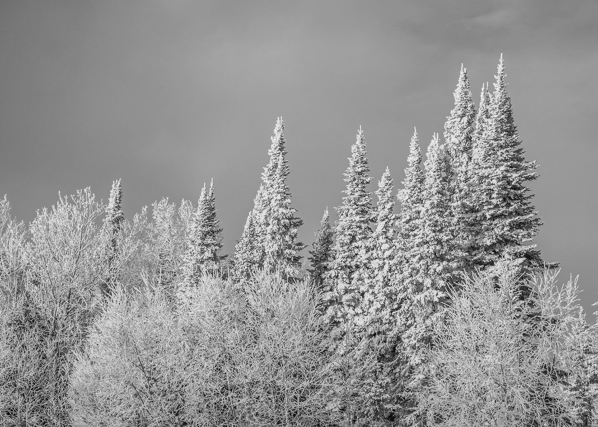 Photo taken near Prince Albert National Park
