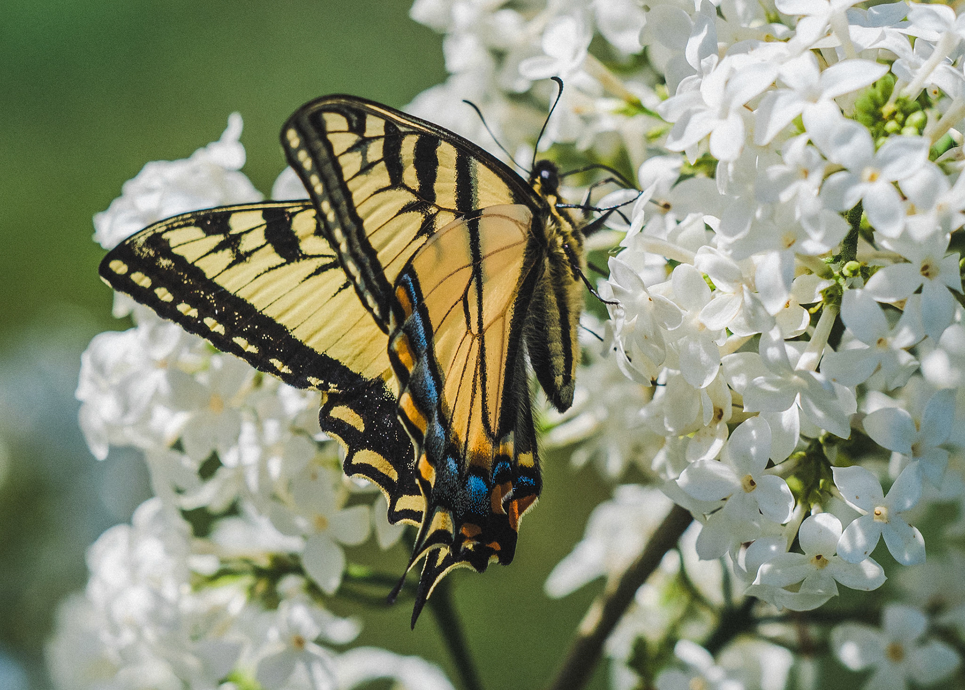 Photo taken near Saskatoon, SK