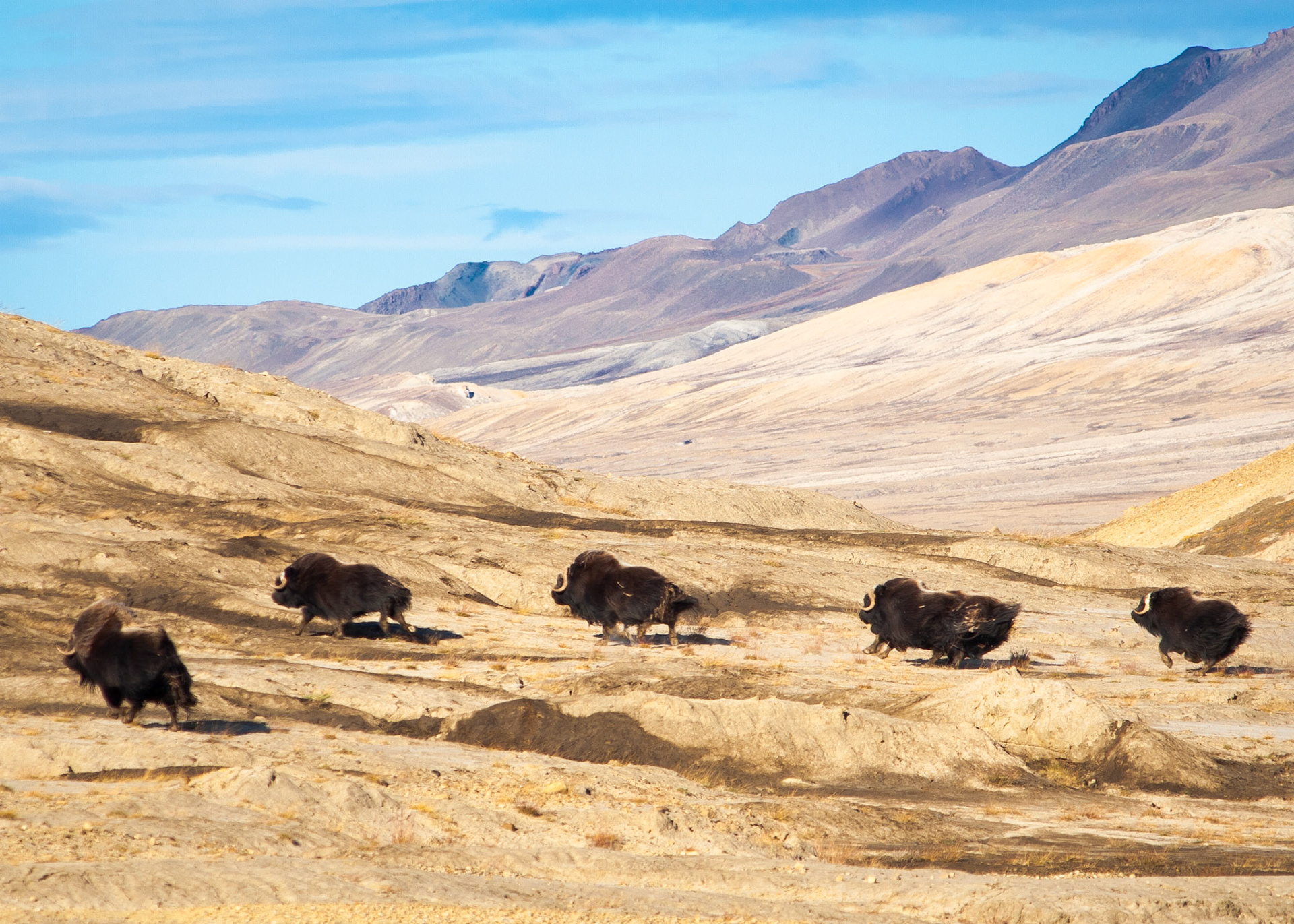 Photo taken near Eureka, NU