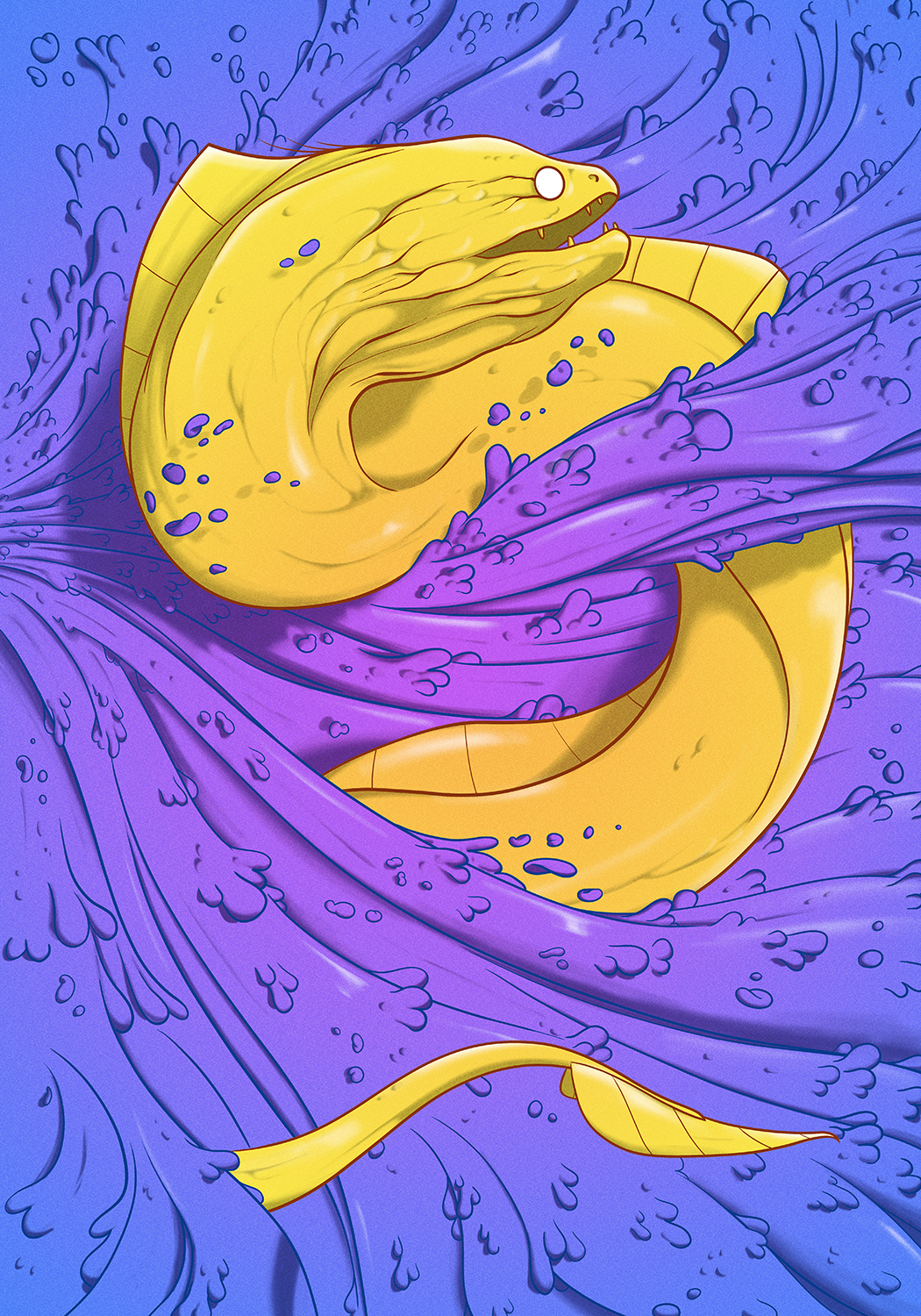 illustration murène jaune bas relief