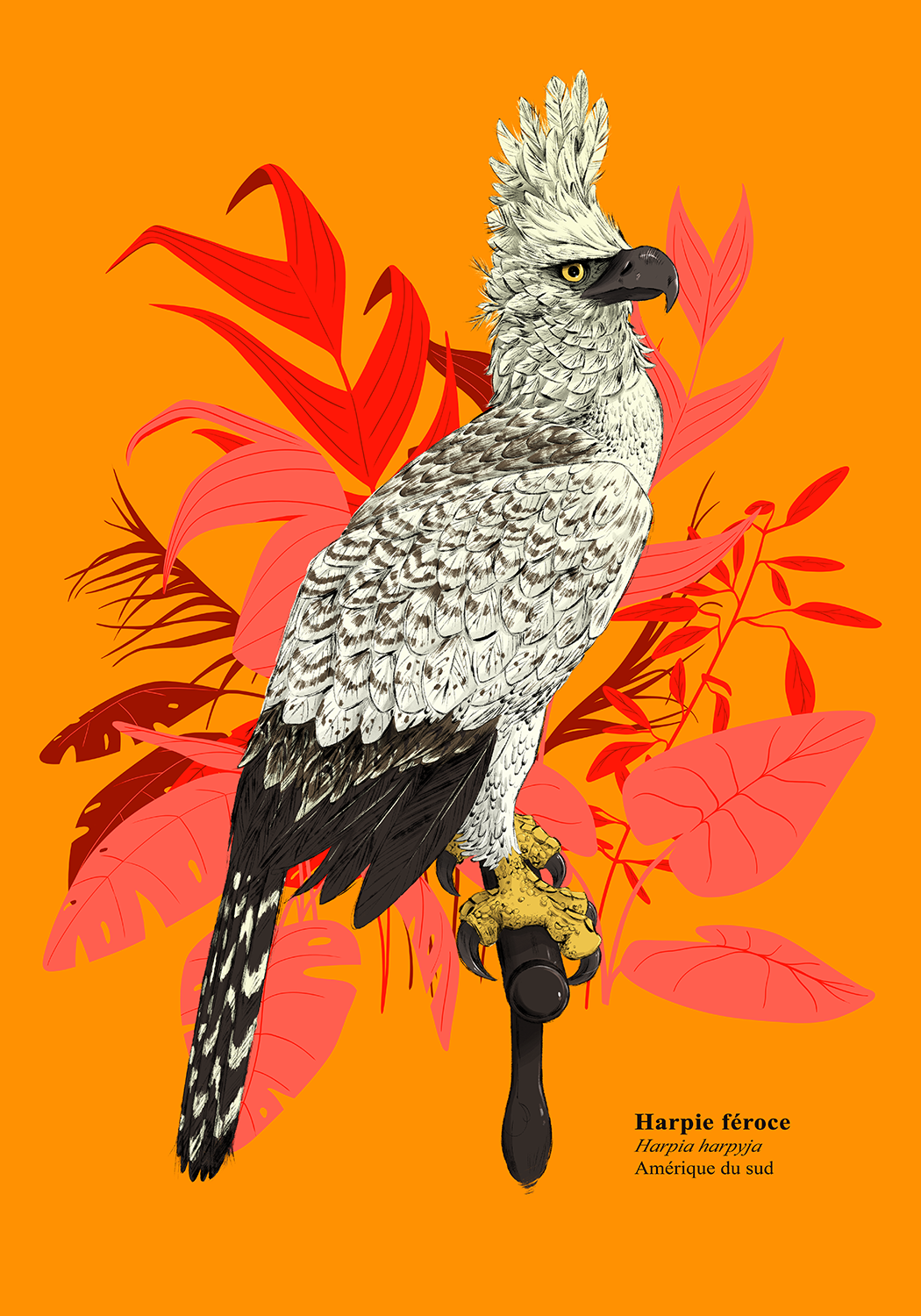 illustration harpie féroce avec plantes rouges en fond