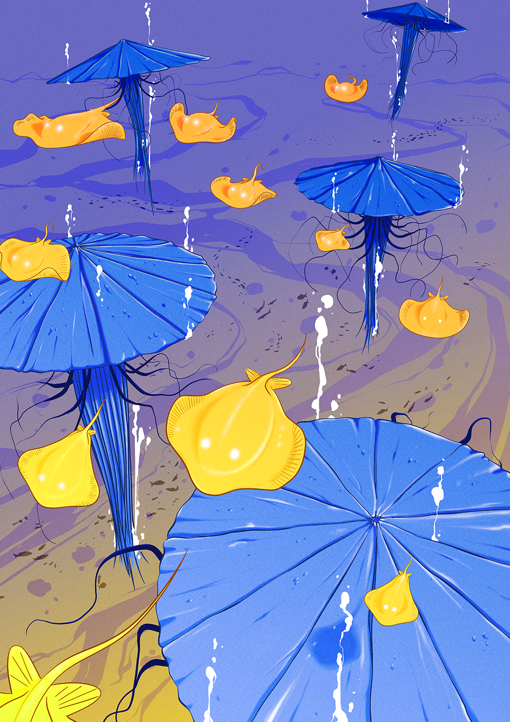 illustration méduses bleues avec raies pastenagues 