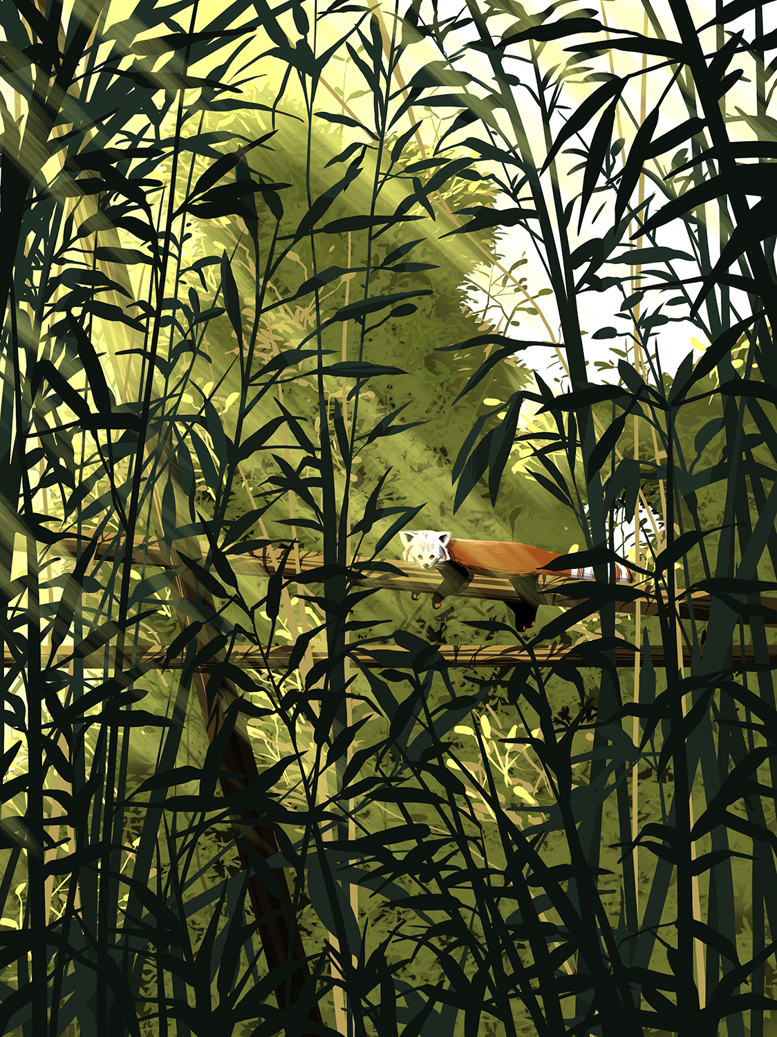 illustration panda roux jardin des plantes ménagerie paris 5