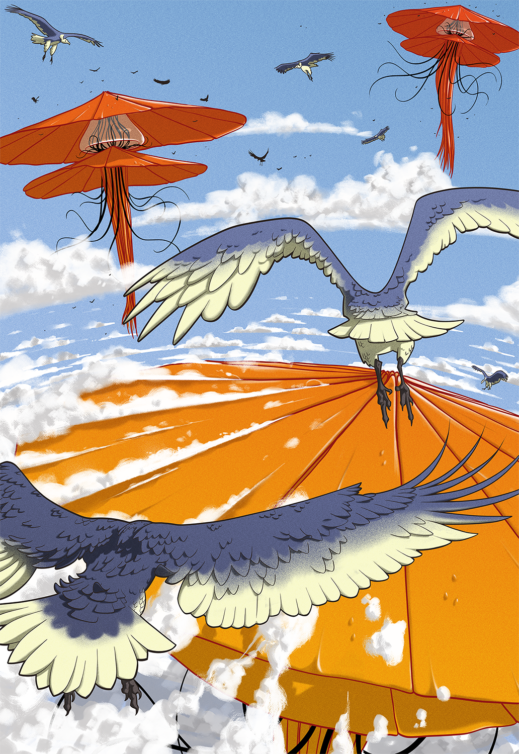 illustration méduses rouges dans le ciel avec oiseaux bleus