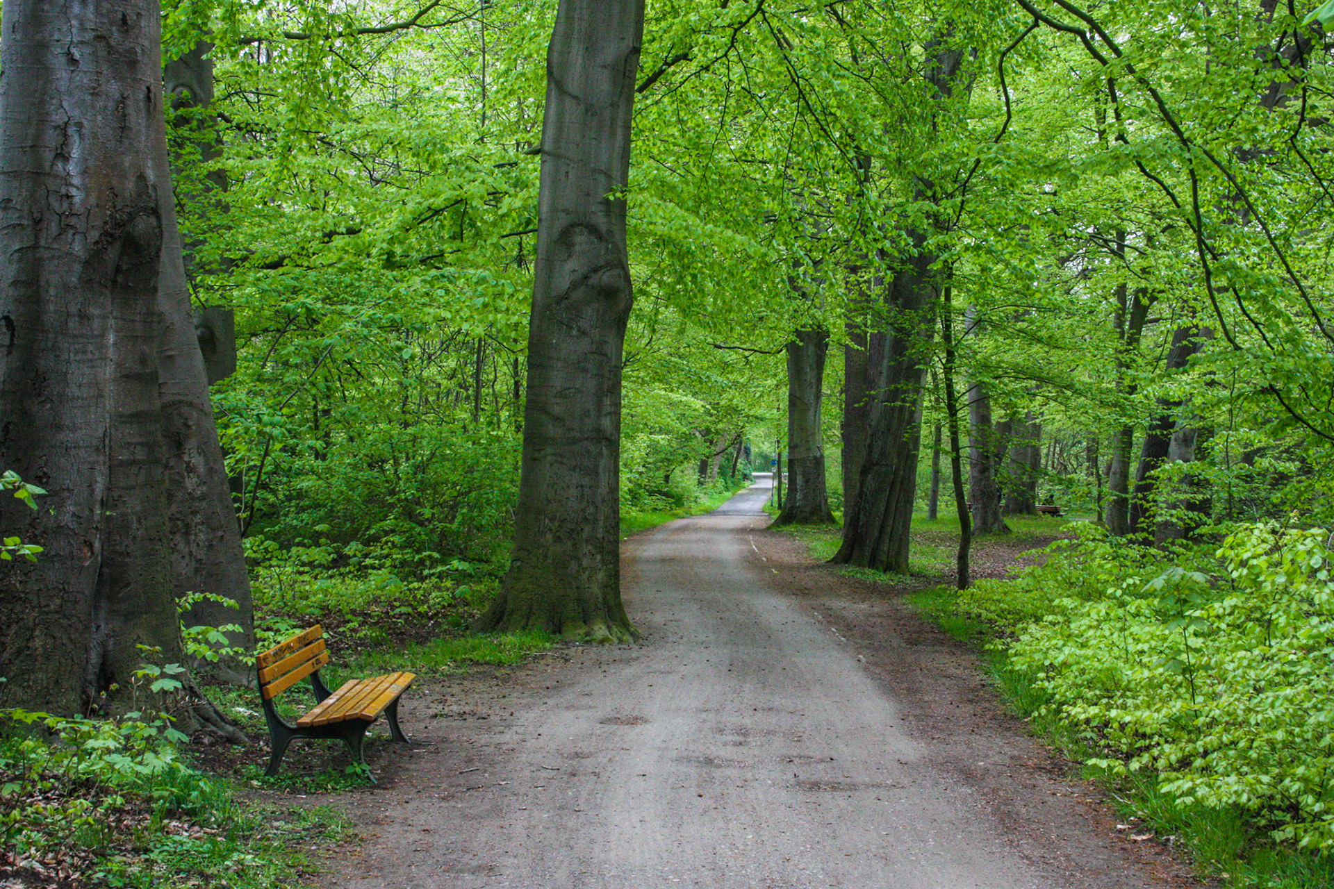 Hannover, Germany