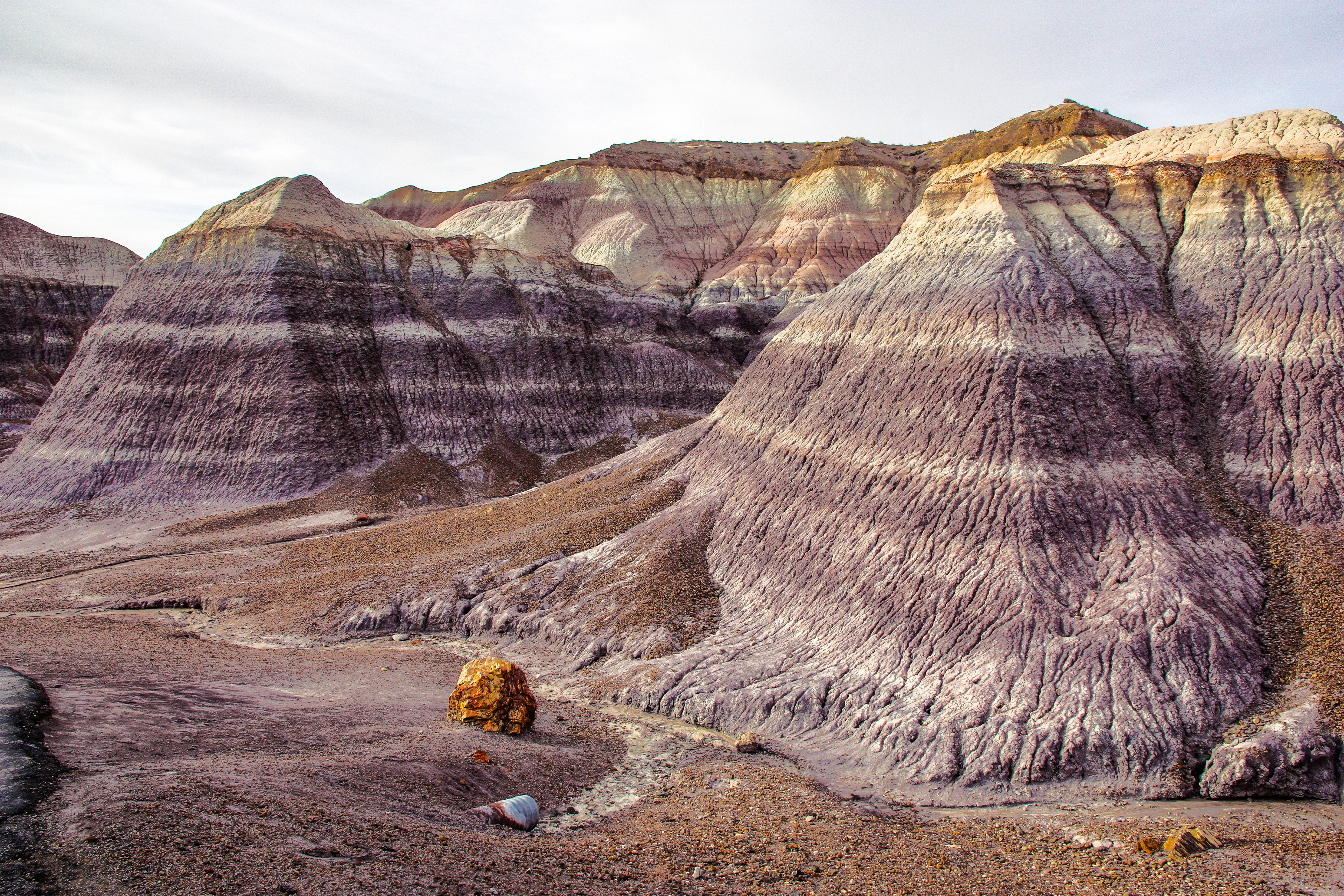 Petrified Forest National Park, Arizona