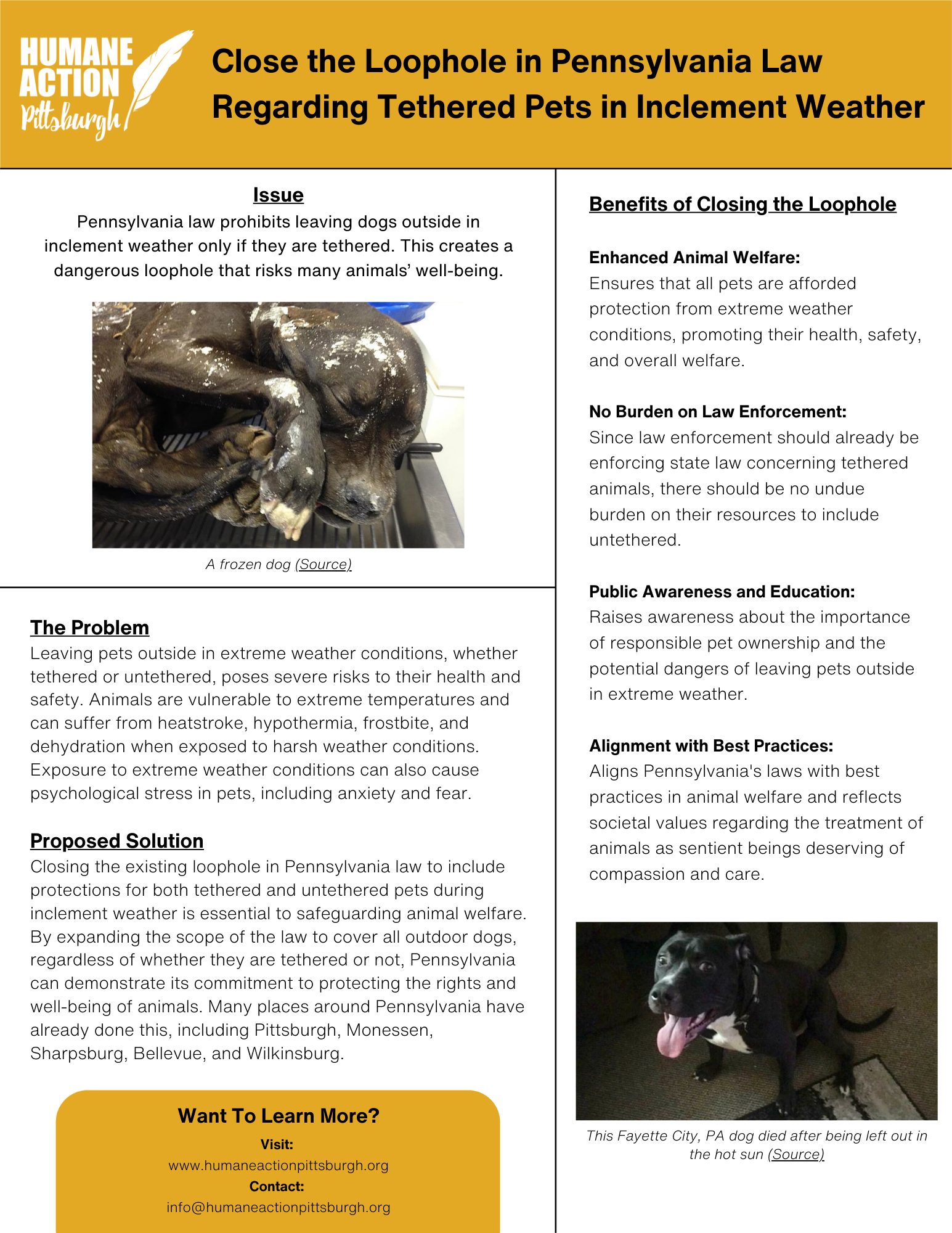 Pets in Inclement Weather Fact Sheet