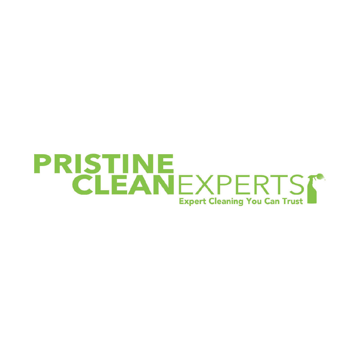 Pristine Clean Experts // Logo // Jacksonville, FL // C. 2016