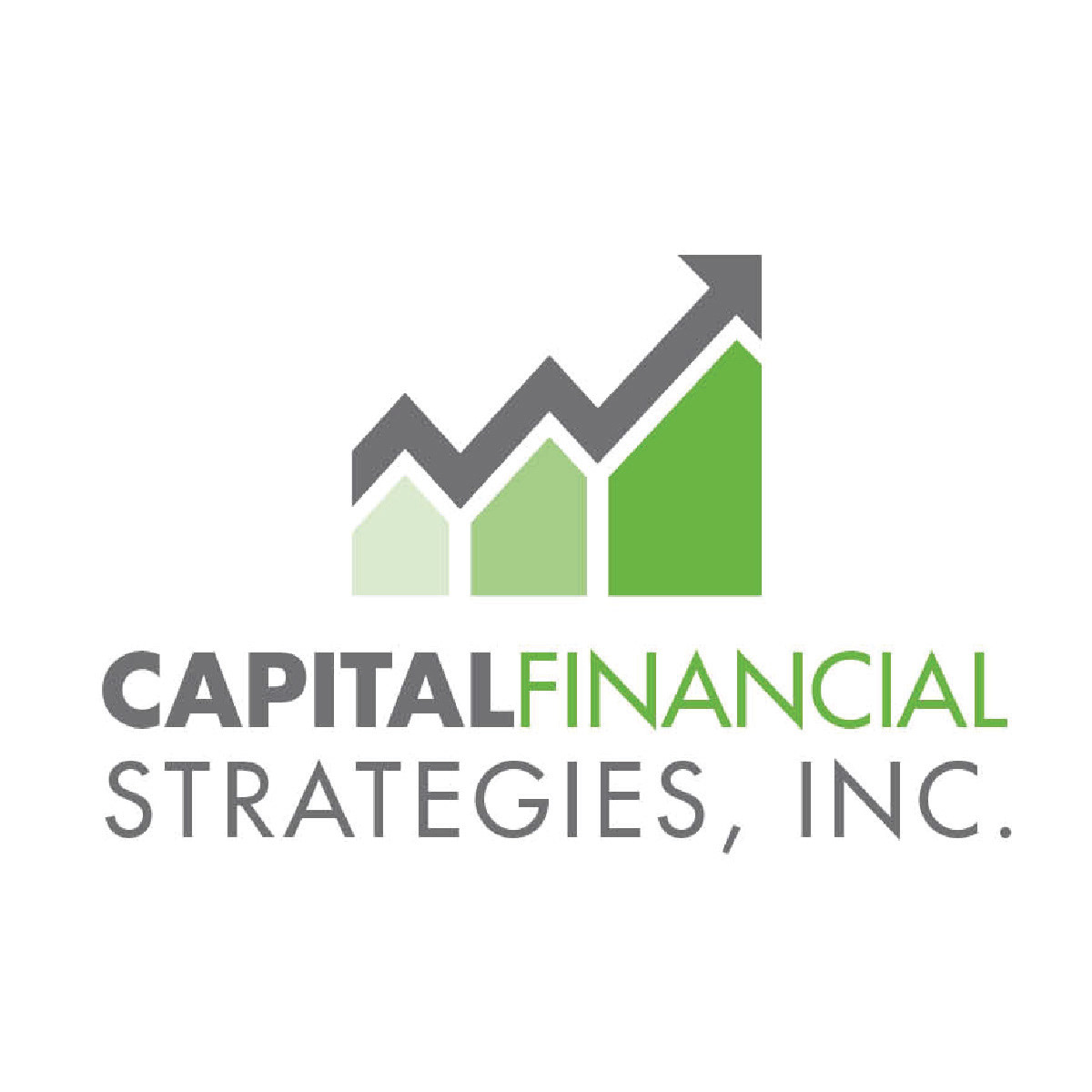 Capital Financial Strategies // Logo // Jacksonville, FL // C. 2014