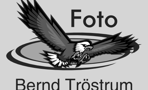 Bernd Tröstrum