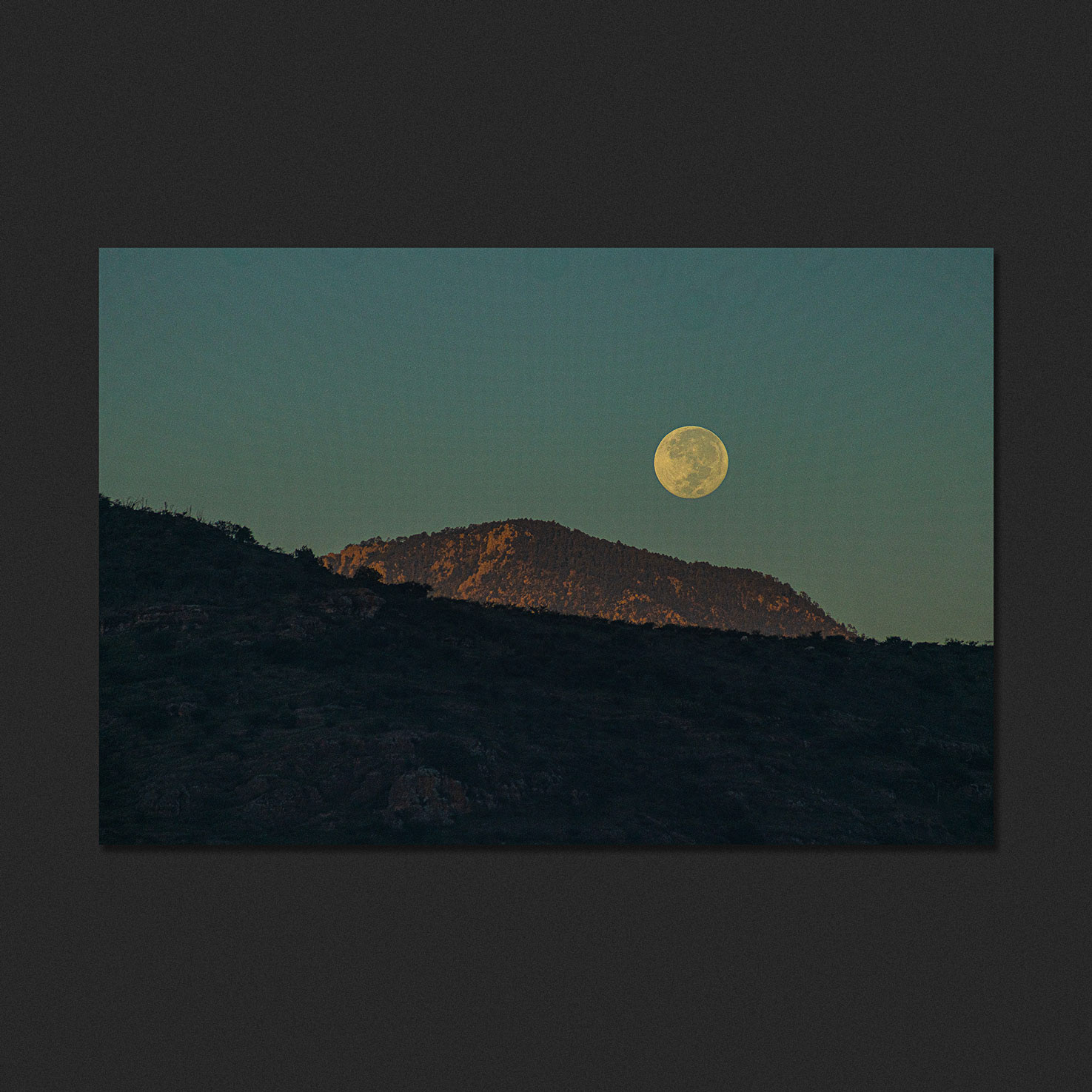 Luna tocando el Papantón