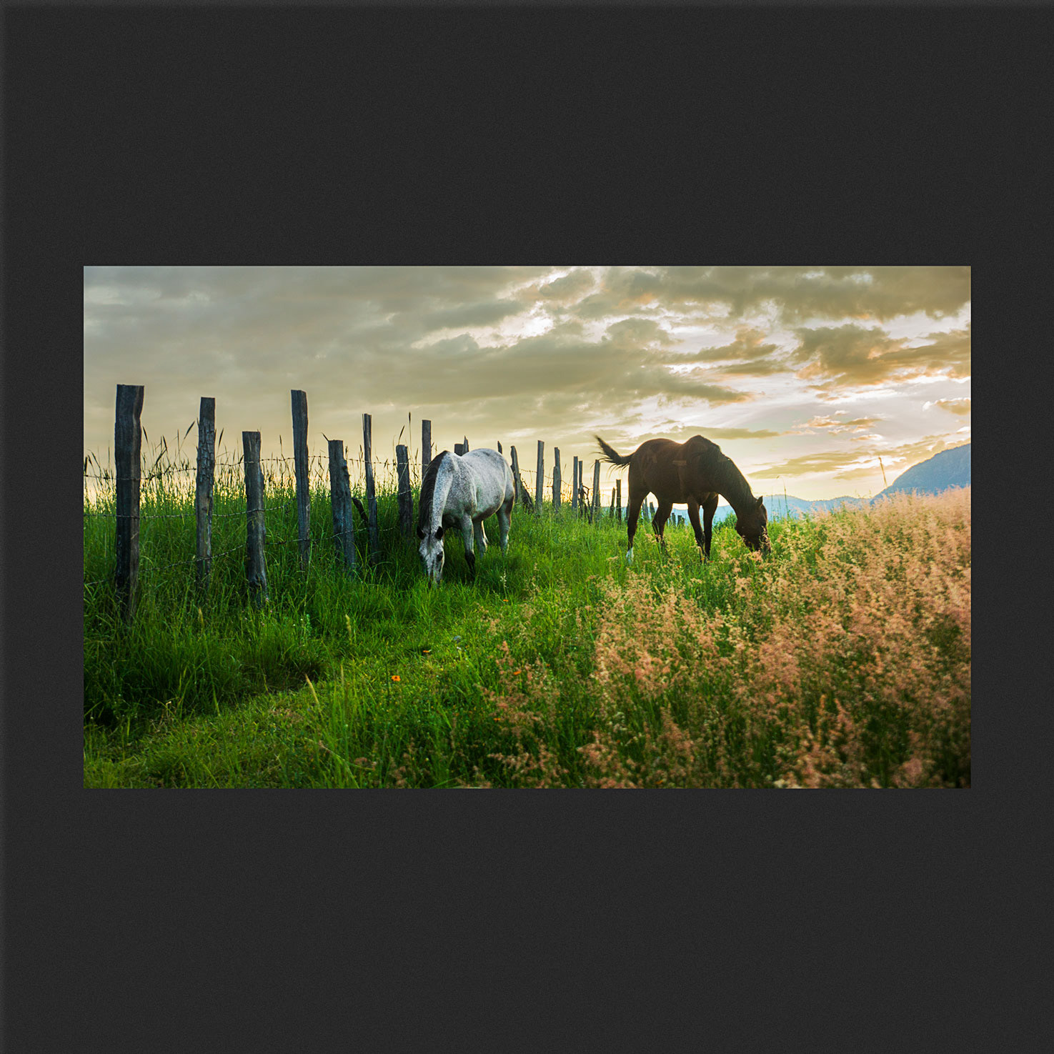 Caballos de Garame