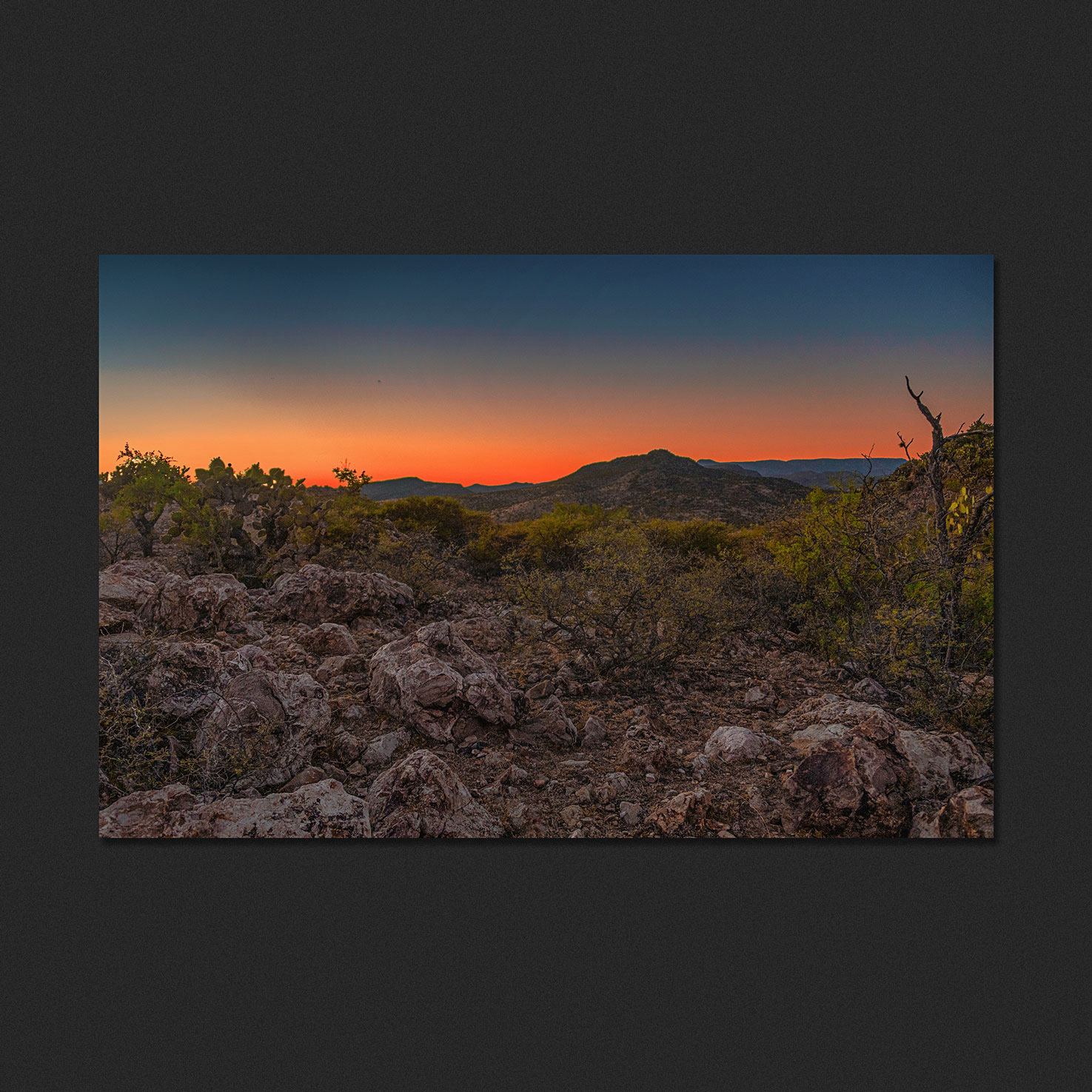 Paisaje rocoso