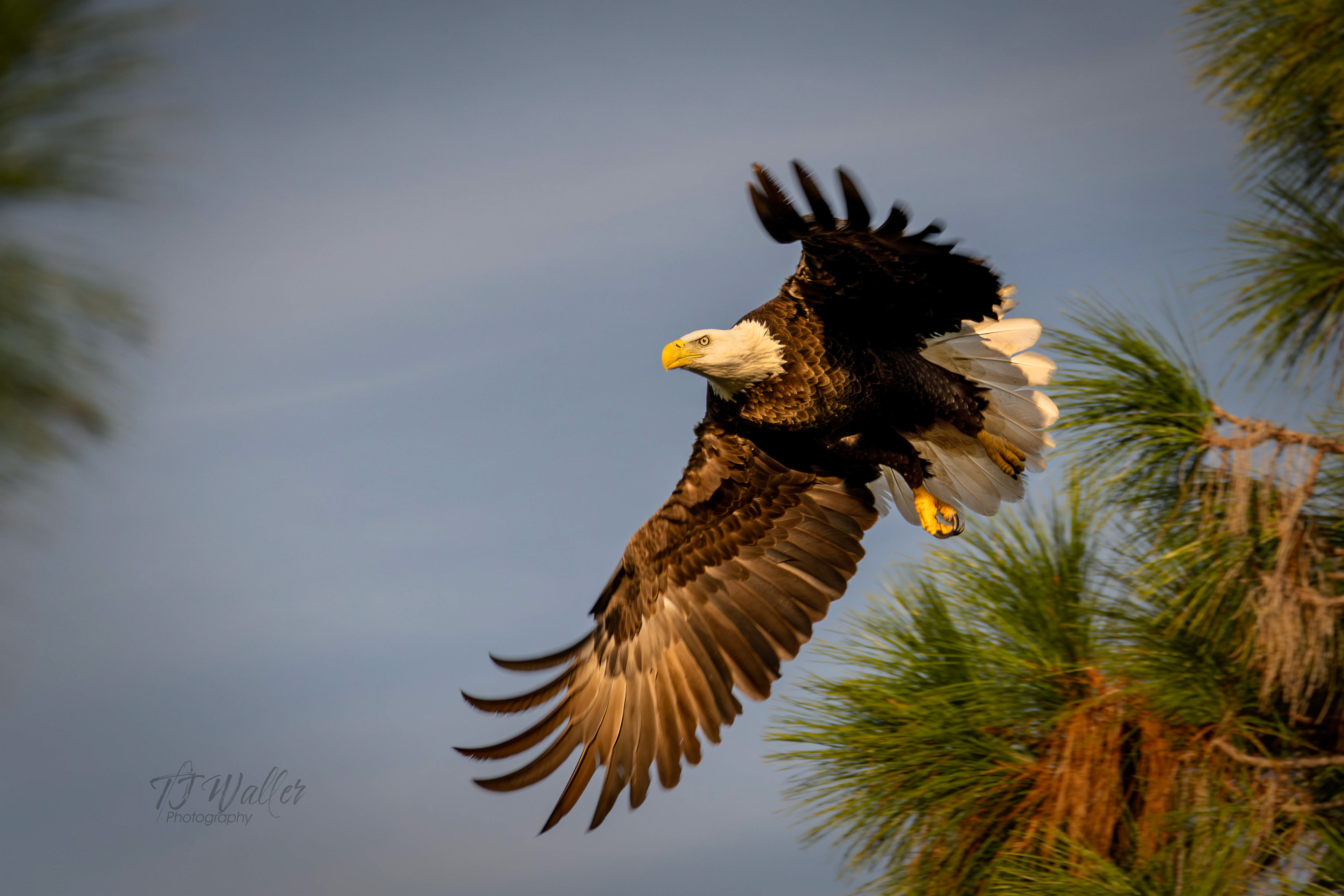 photography lessons, photography classes, photography workshops, learn photography