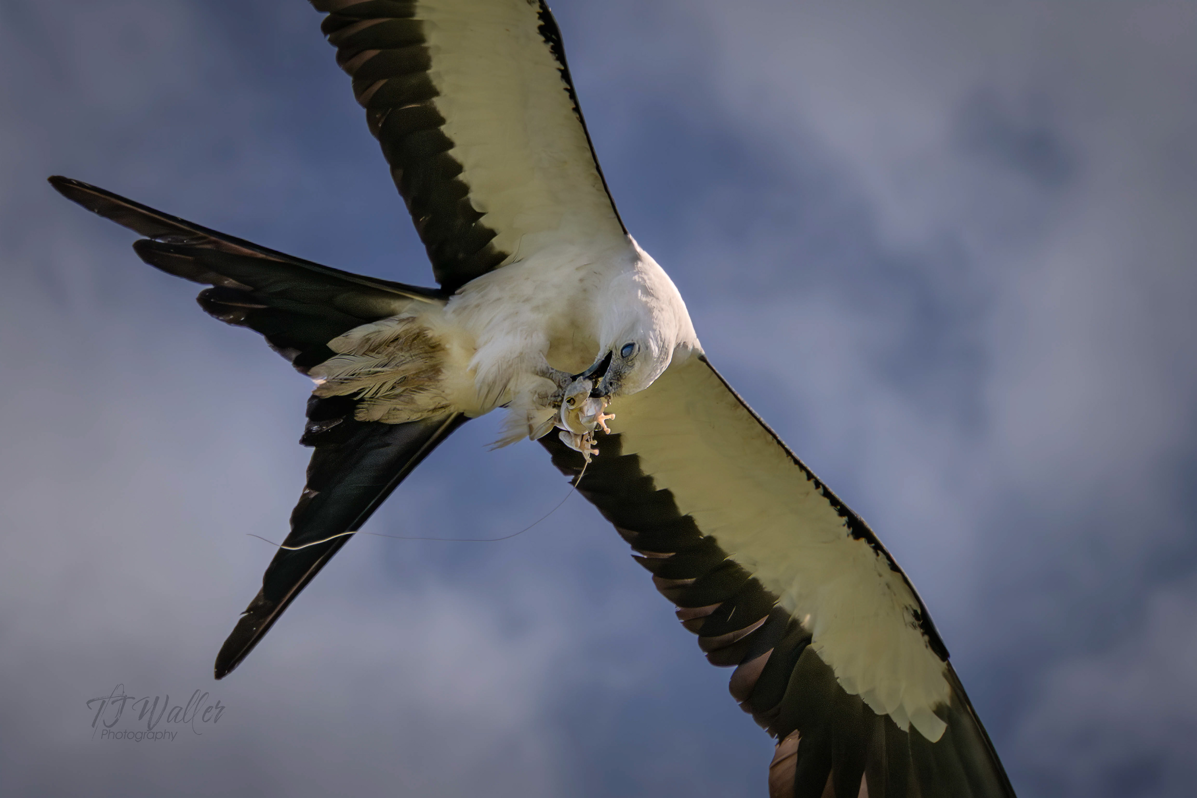 photography lessons, photography classes, photography workshops, learn photography