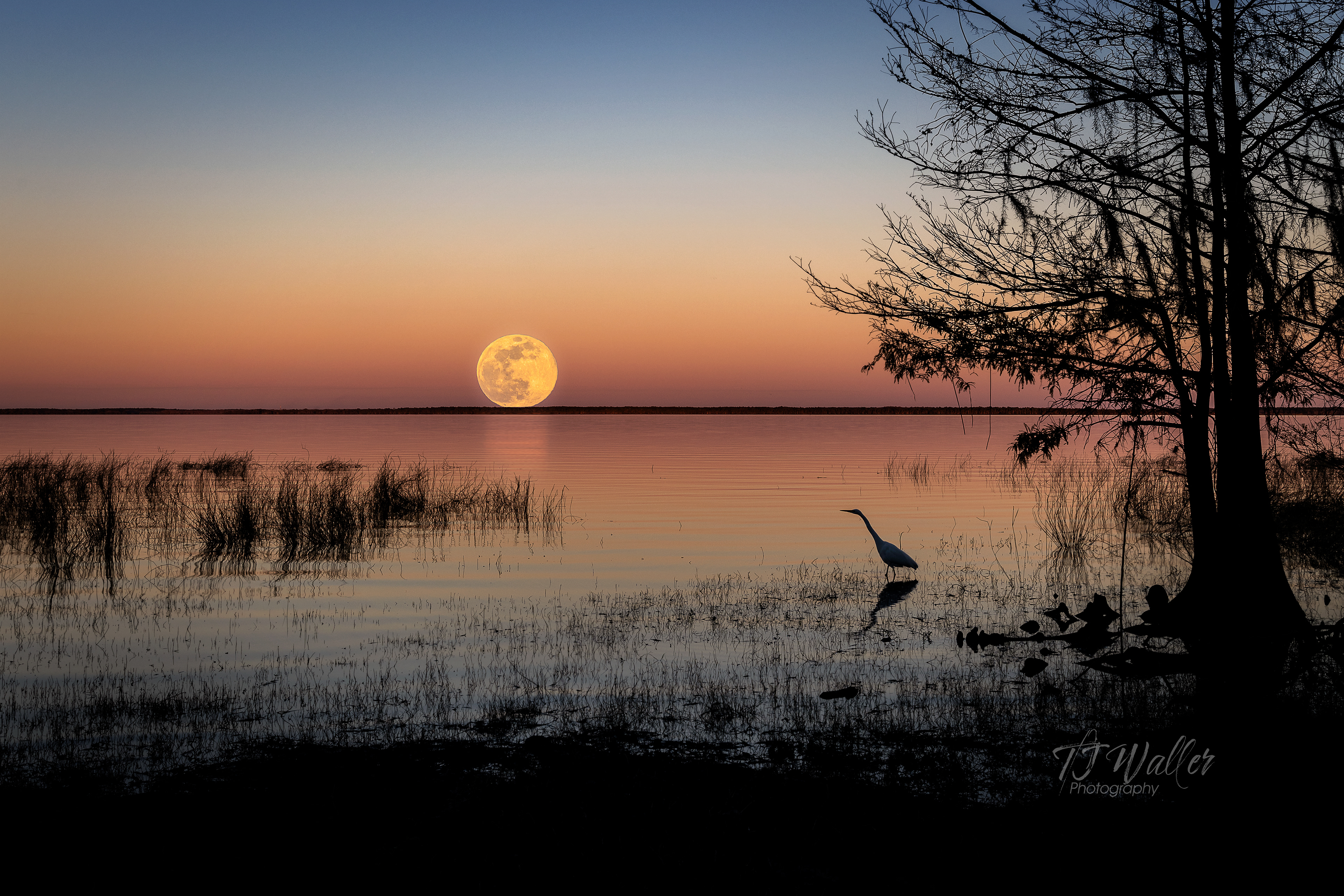 photography lessons, photography classes, photography workshops, learn photography