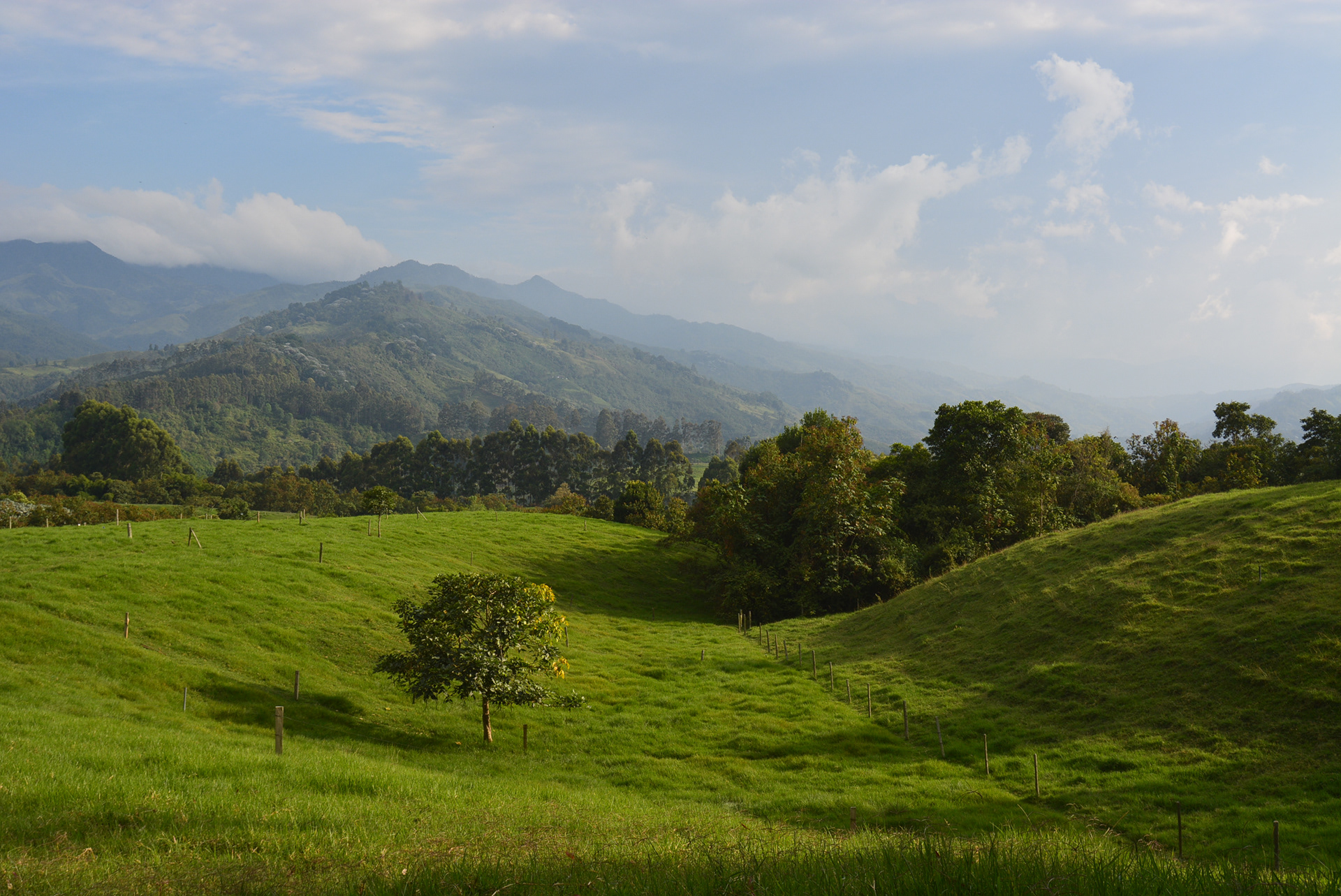 Santa Marta Foothills, Colombia, 2015