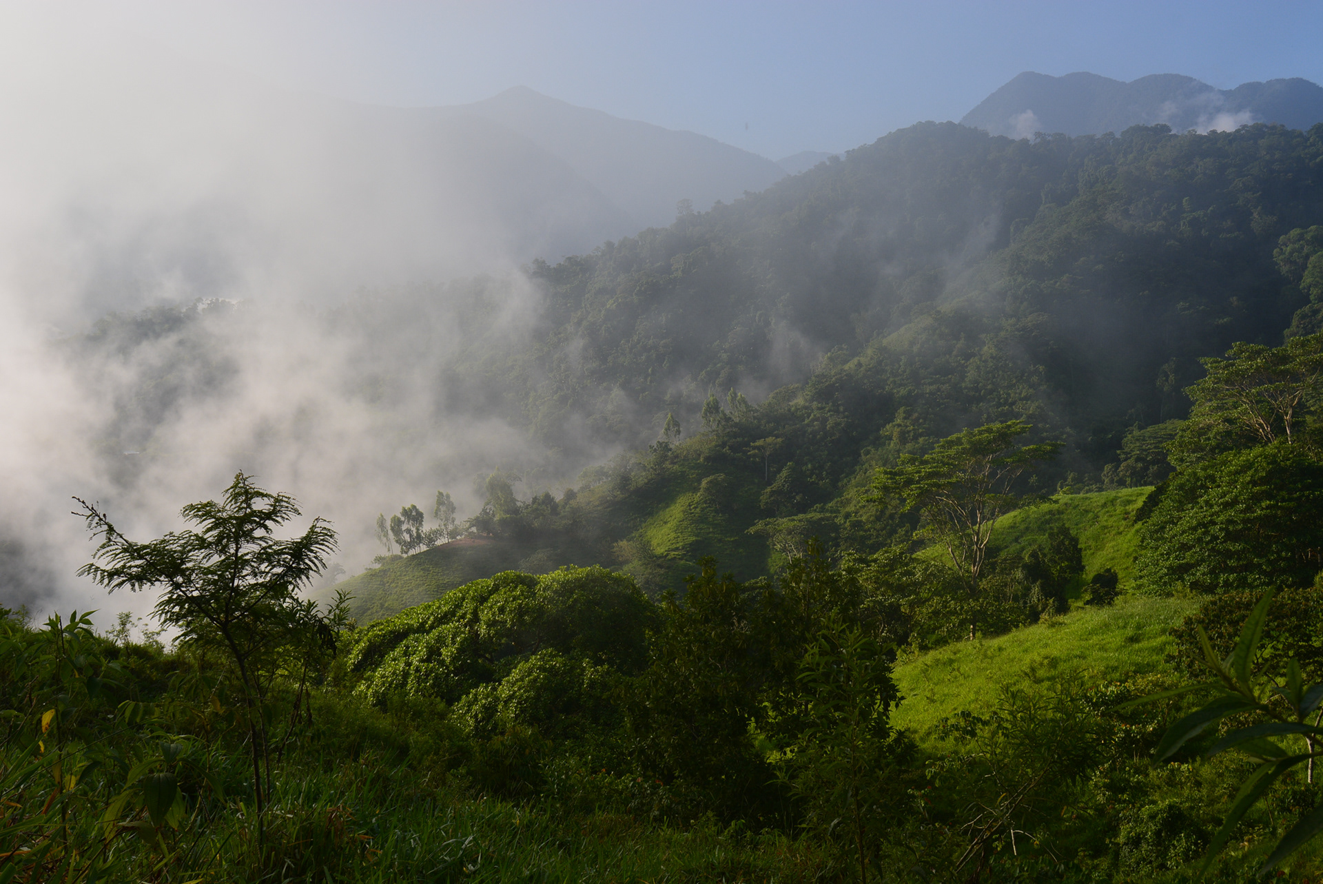 Gaining Elevation, Colombia, 2015