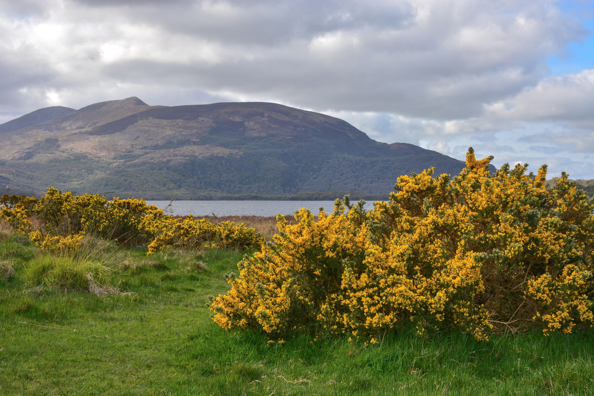 Kerry Mountains, 2017