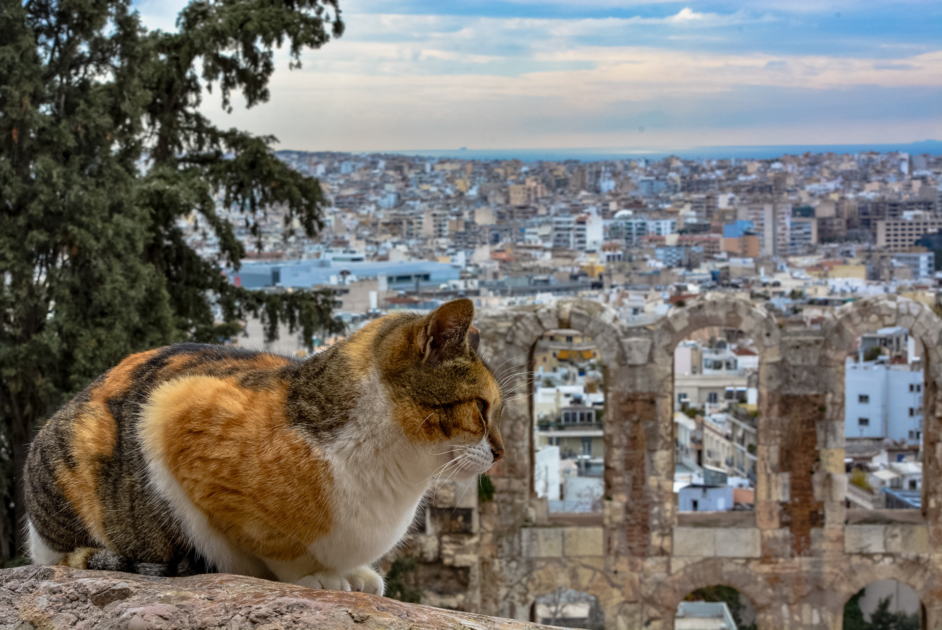 Athens Overlook, 2017