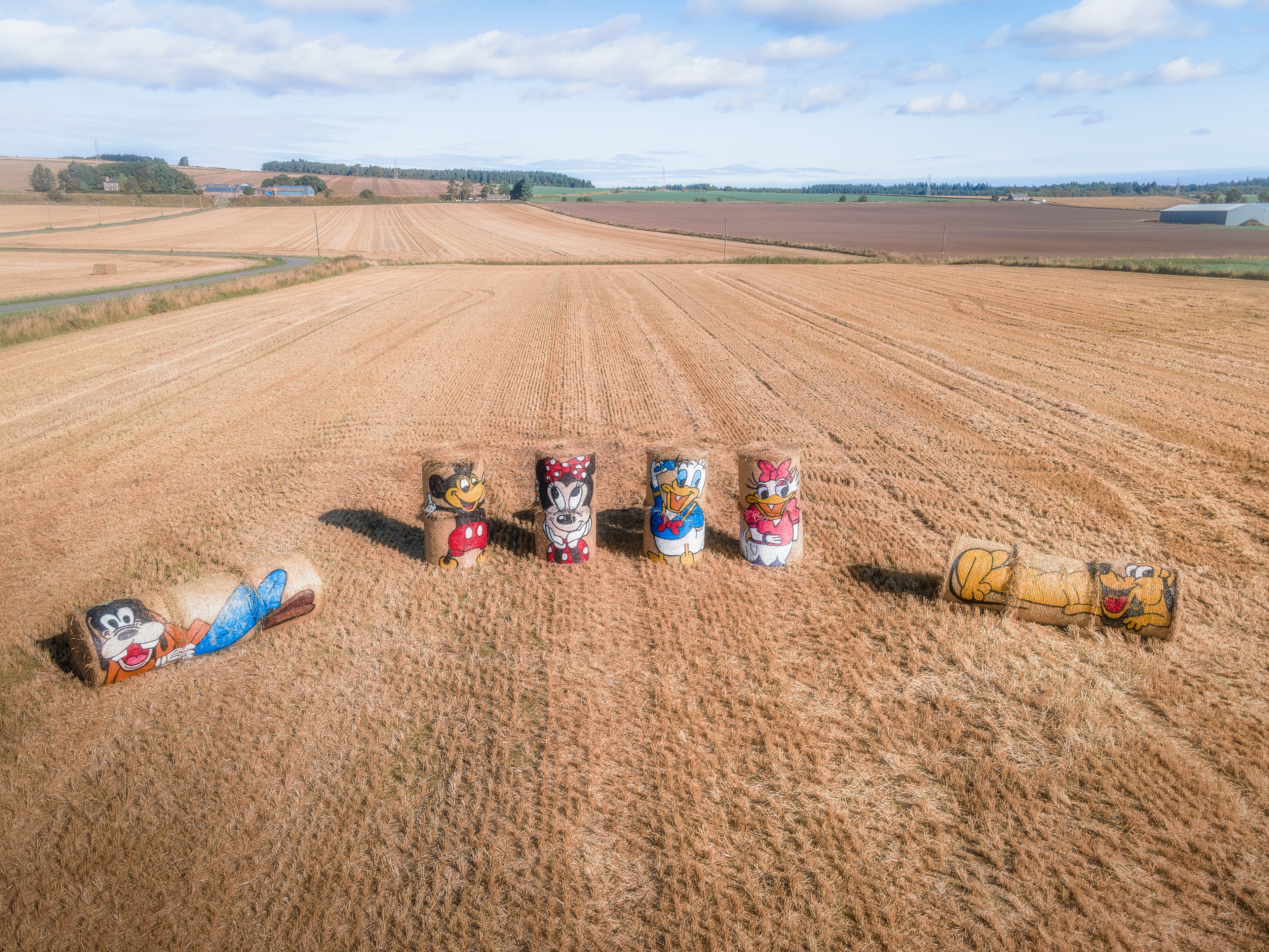 Disney Straw Bales, Monikie