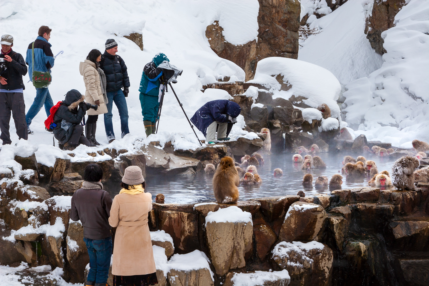 Jigokudani